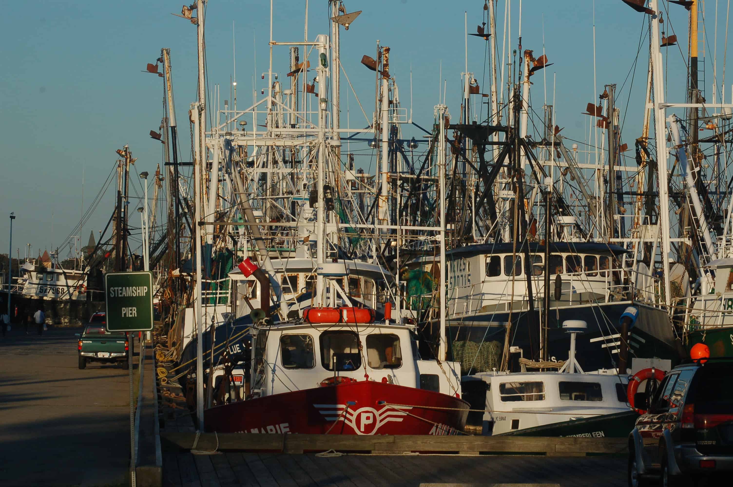 The New Bedford fishing fleet, briefly all home