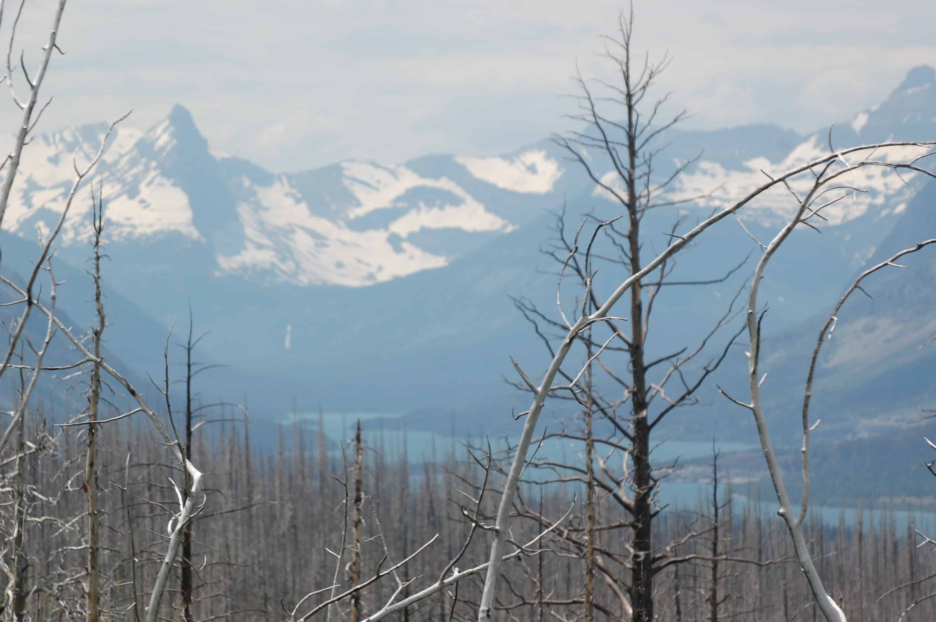 Views in Glacier National Park
