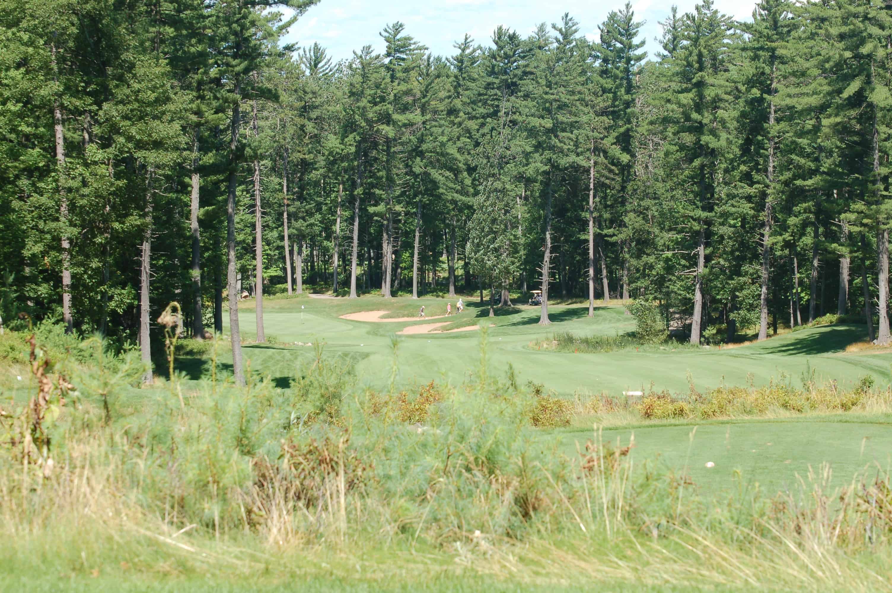 Timber Wolf Golf Club at Pine Mountain
