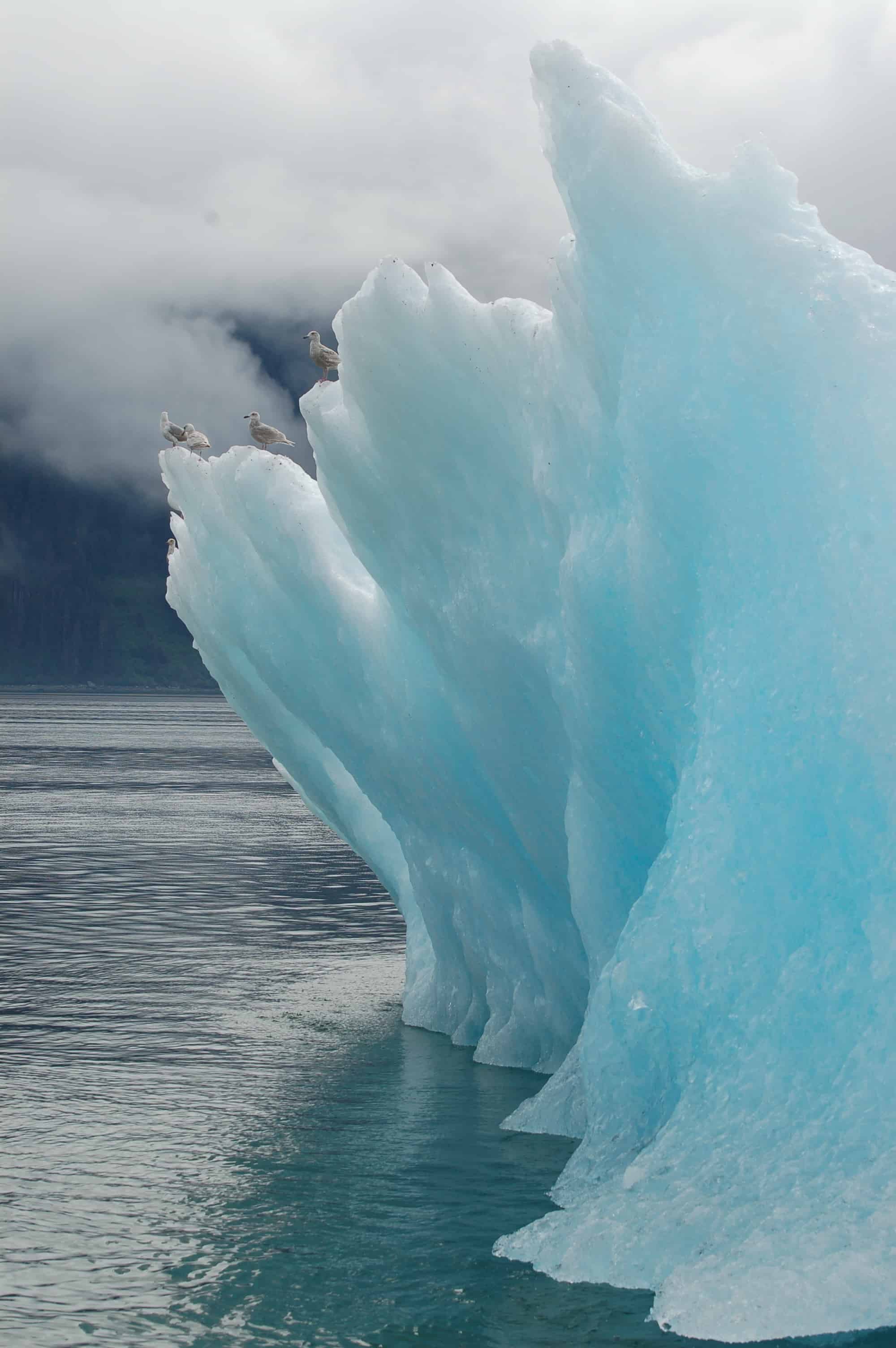 An iceberg in Tracy Arm Fjord