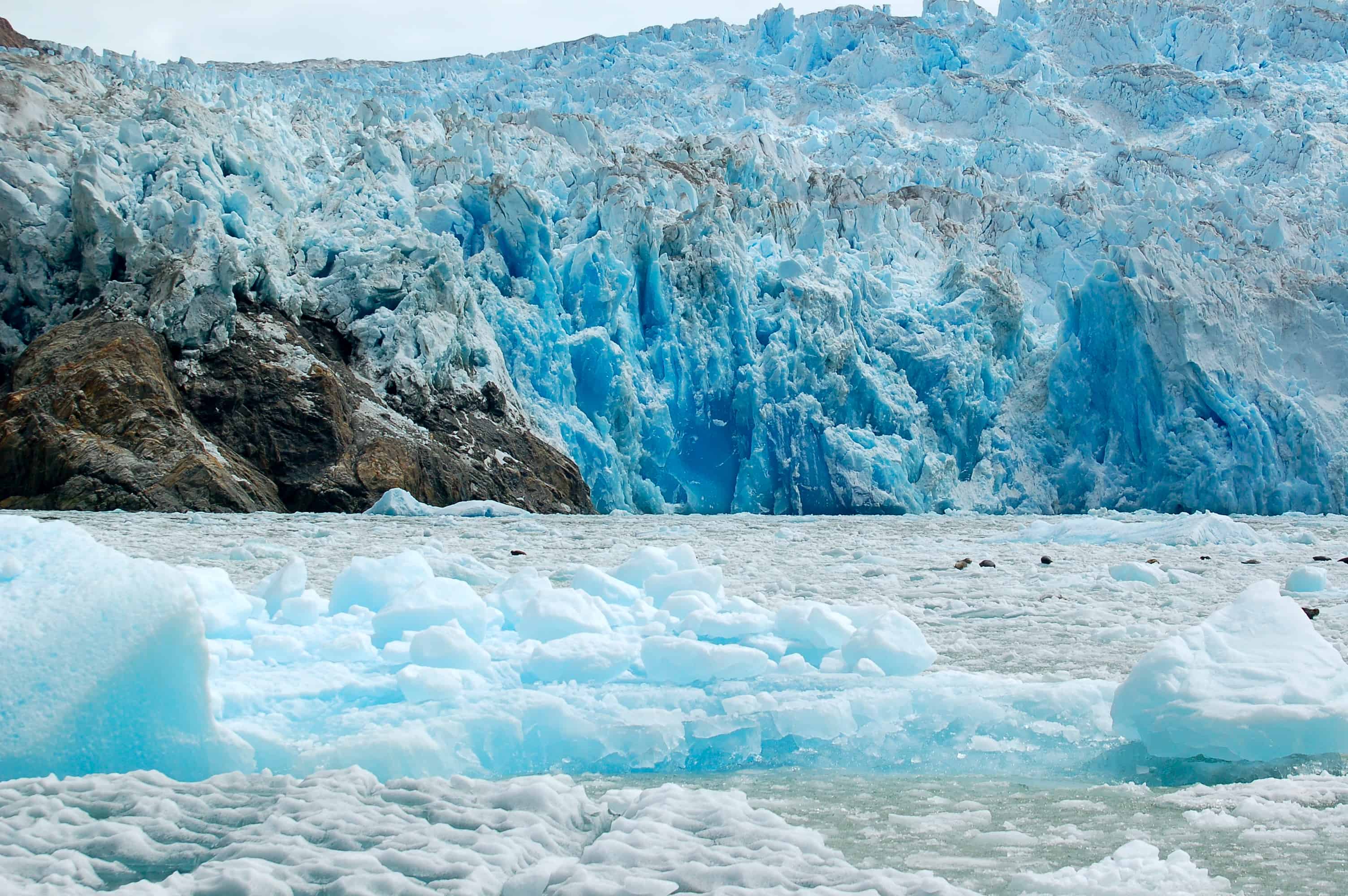 Icebergs on the way to Sawyer Glacier