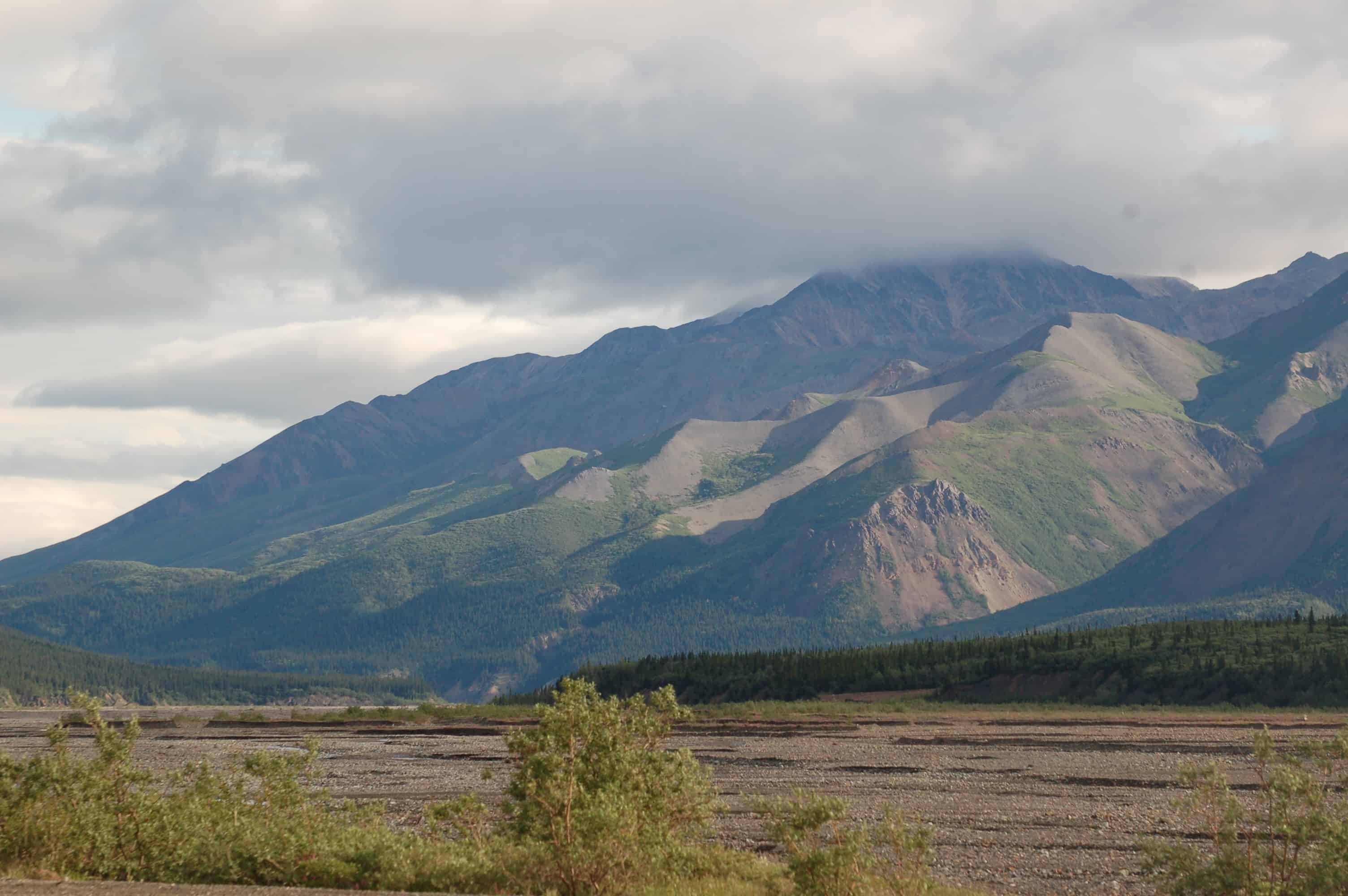 Tundra and the Alaska Range from the Park Road