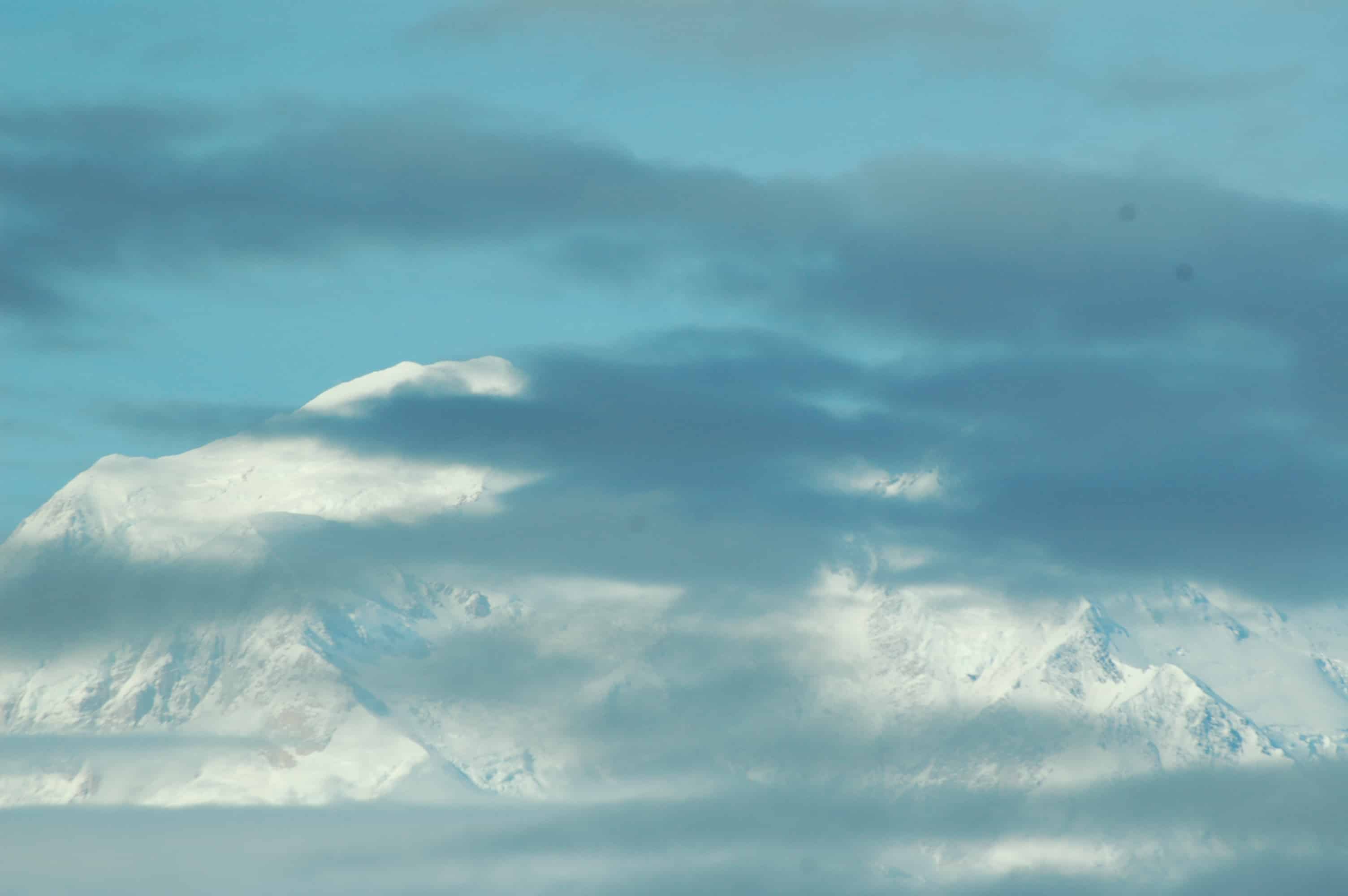 A last look at Denali on the way out