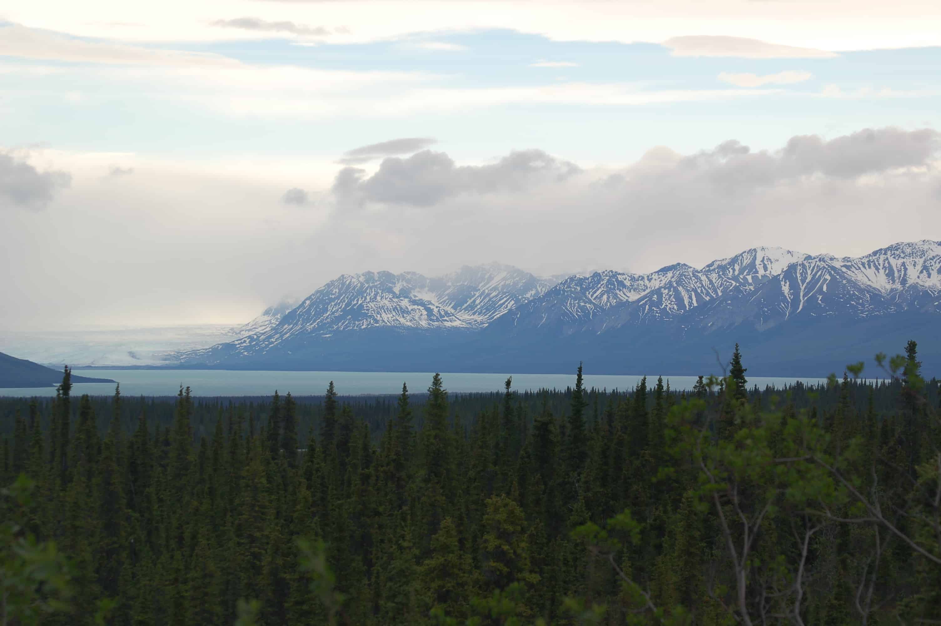 Morning view of Mount Drum from our Twin Lakes camp