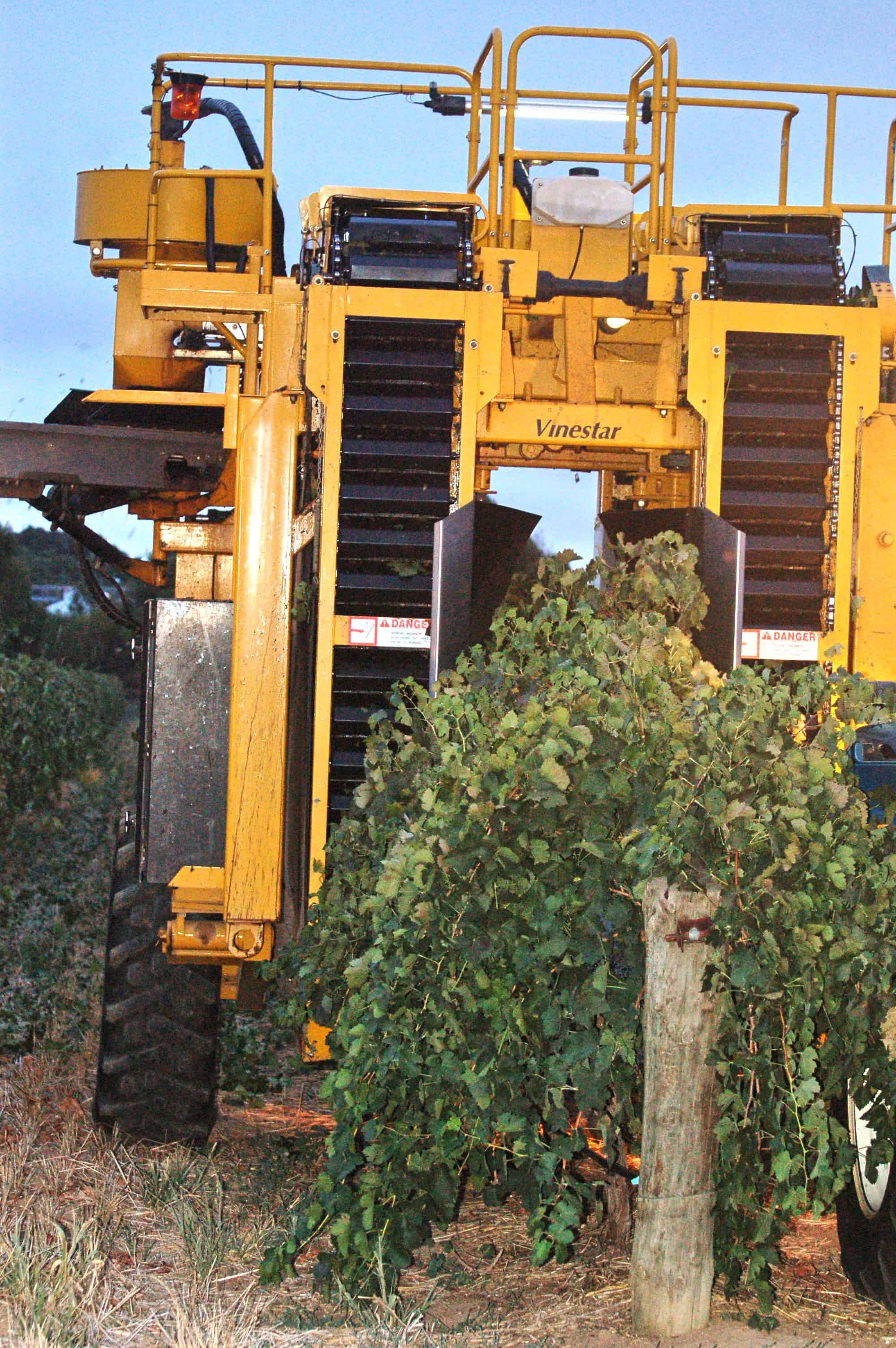 Machine Picking Grapes