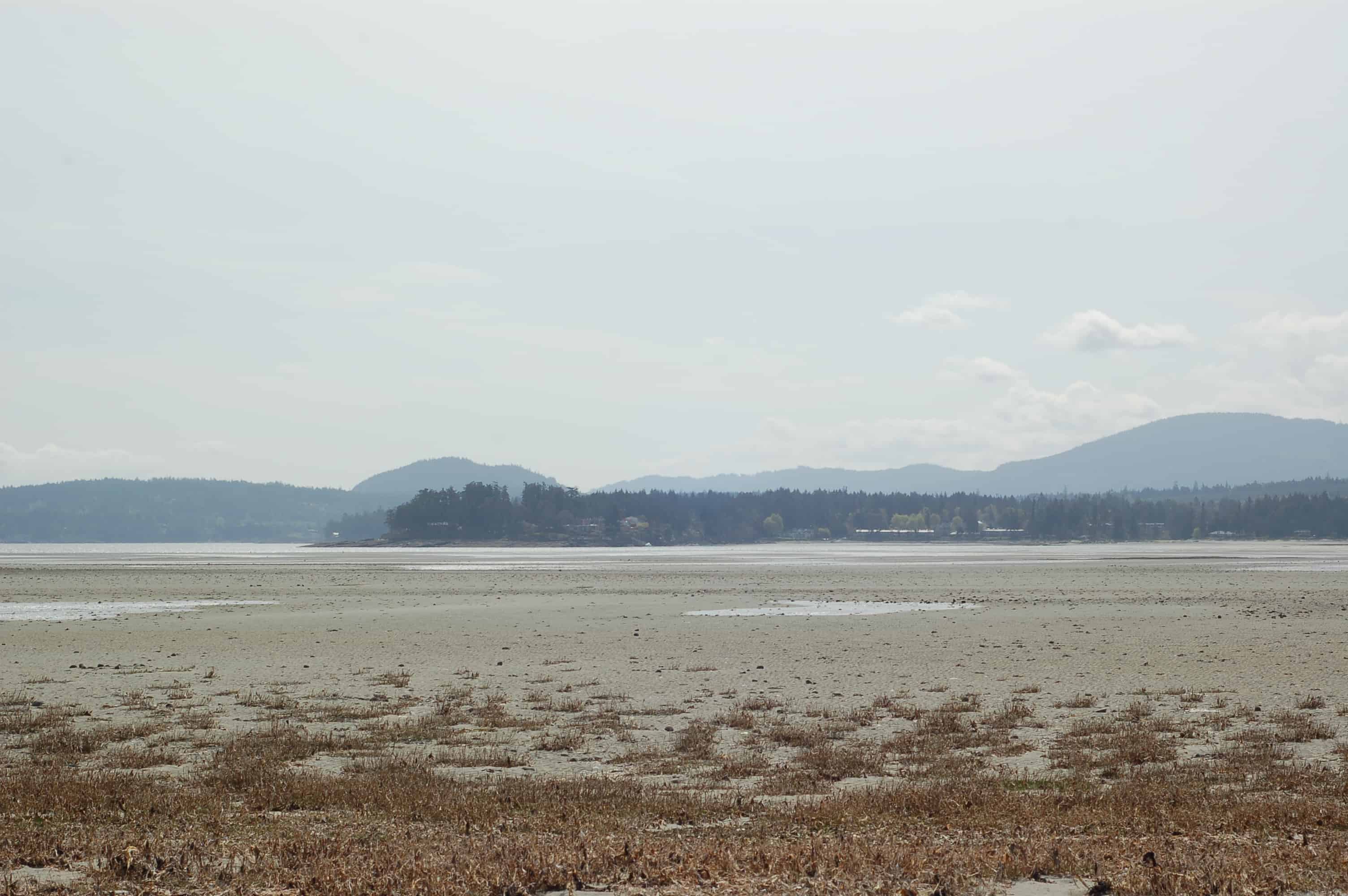 Parksville beach at low tide, with mountains in the distance