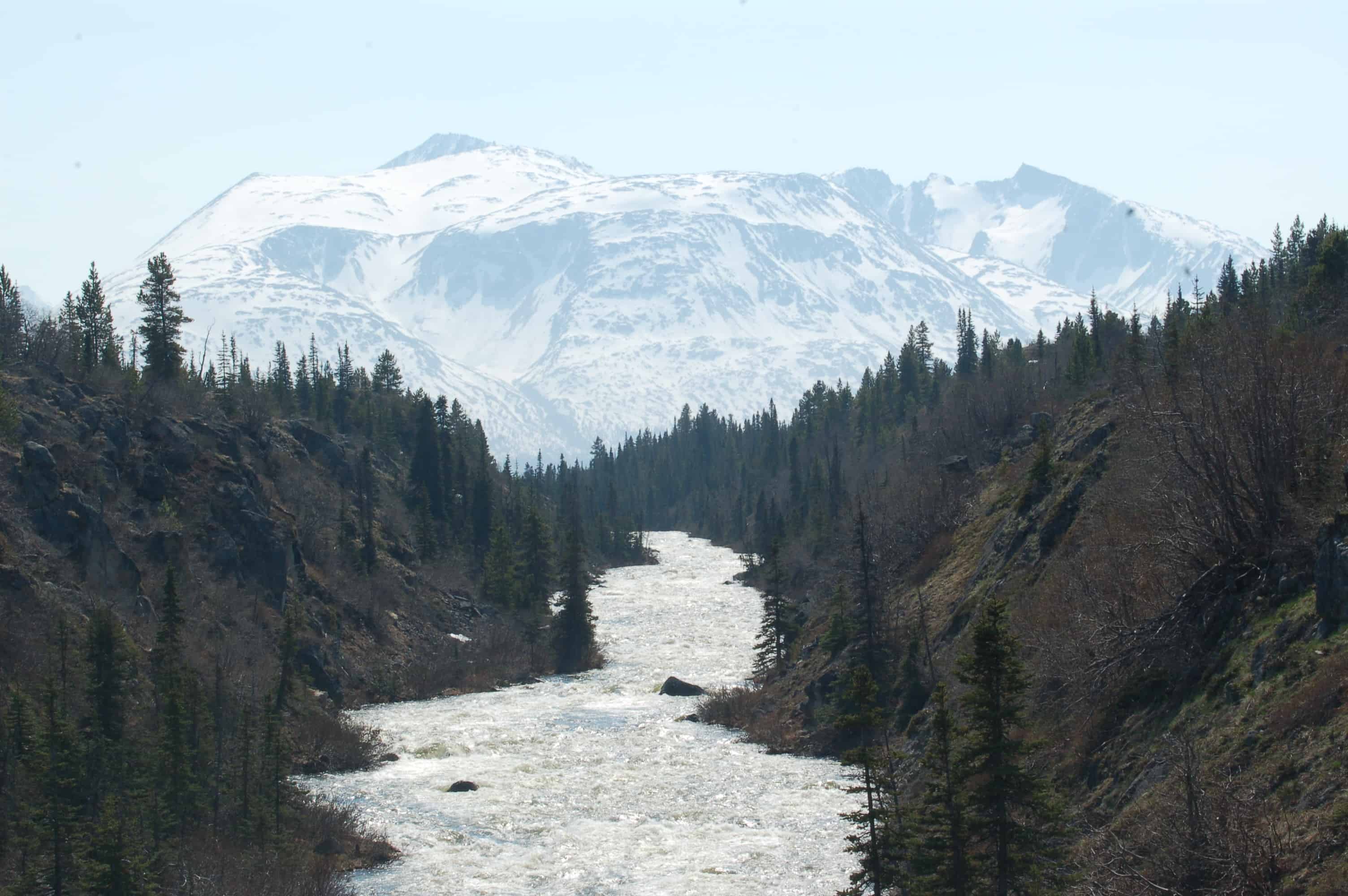 A river along the road from Skagway up White Pass