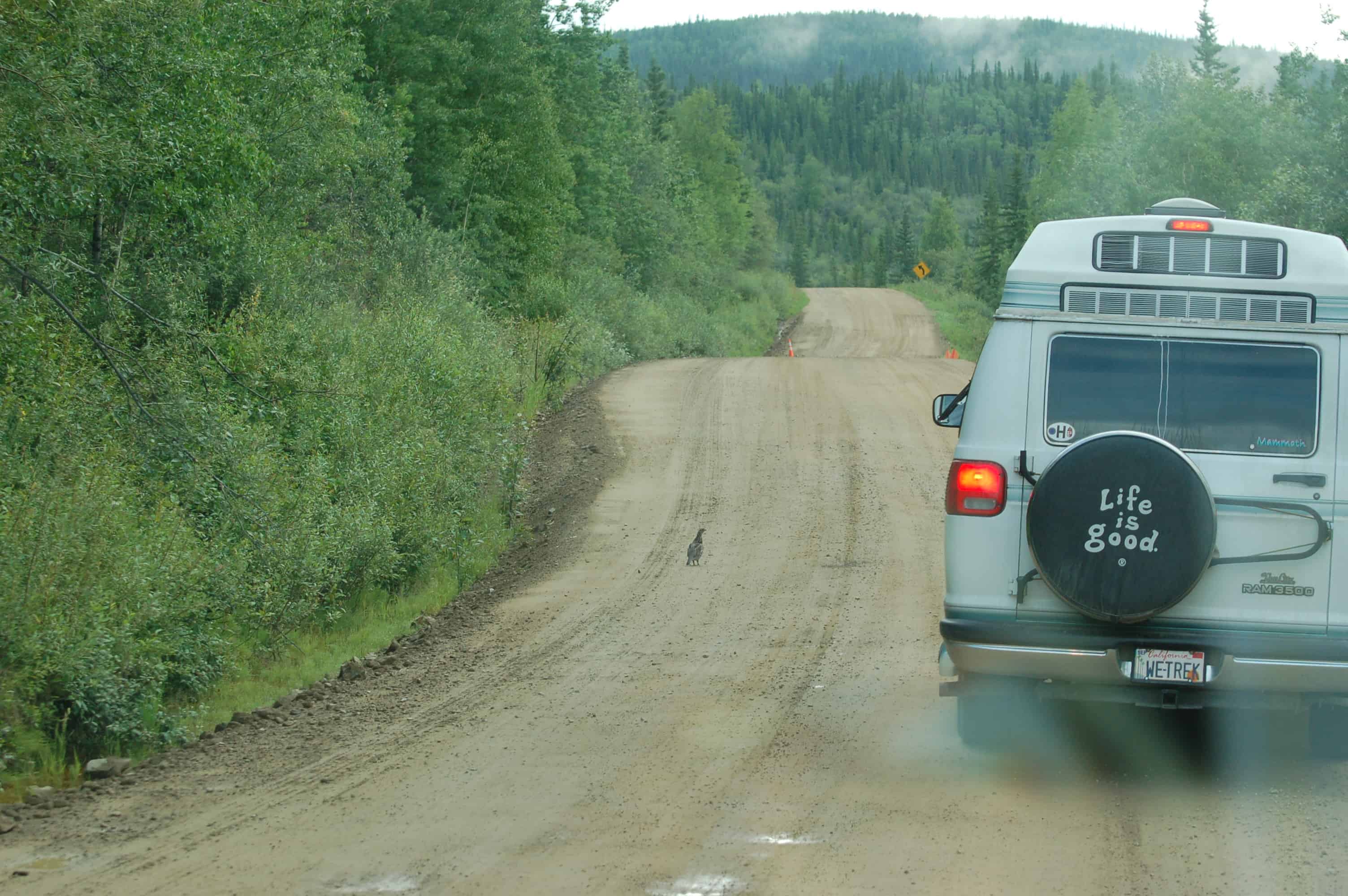 The road to the Canadian border from Chicken