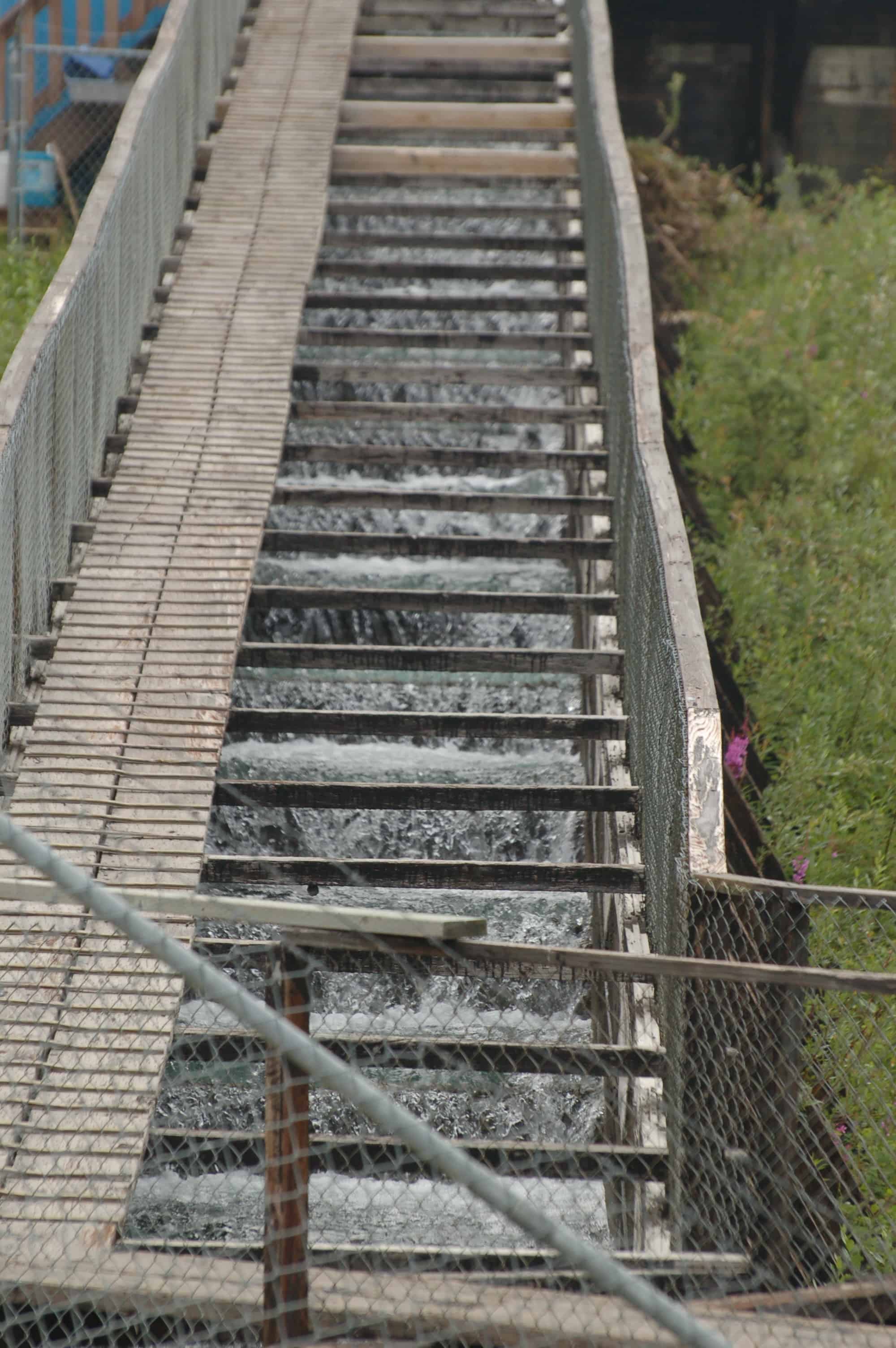 The Whitehorse Rapids fish ladder, longest wooden fish ladder in the world