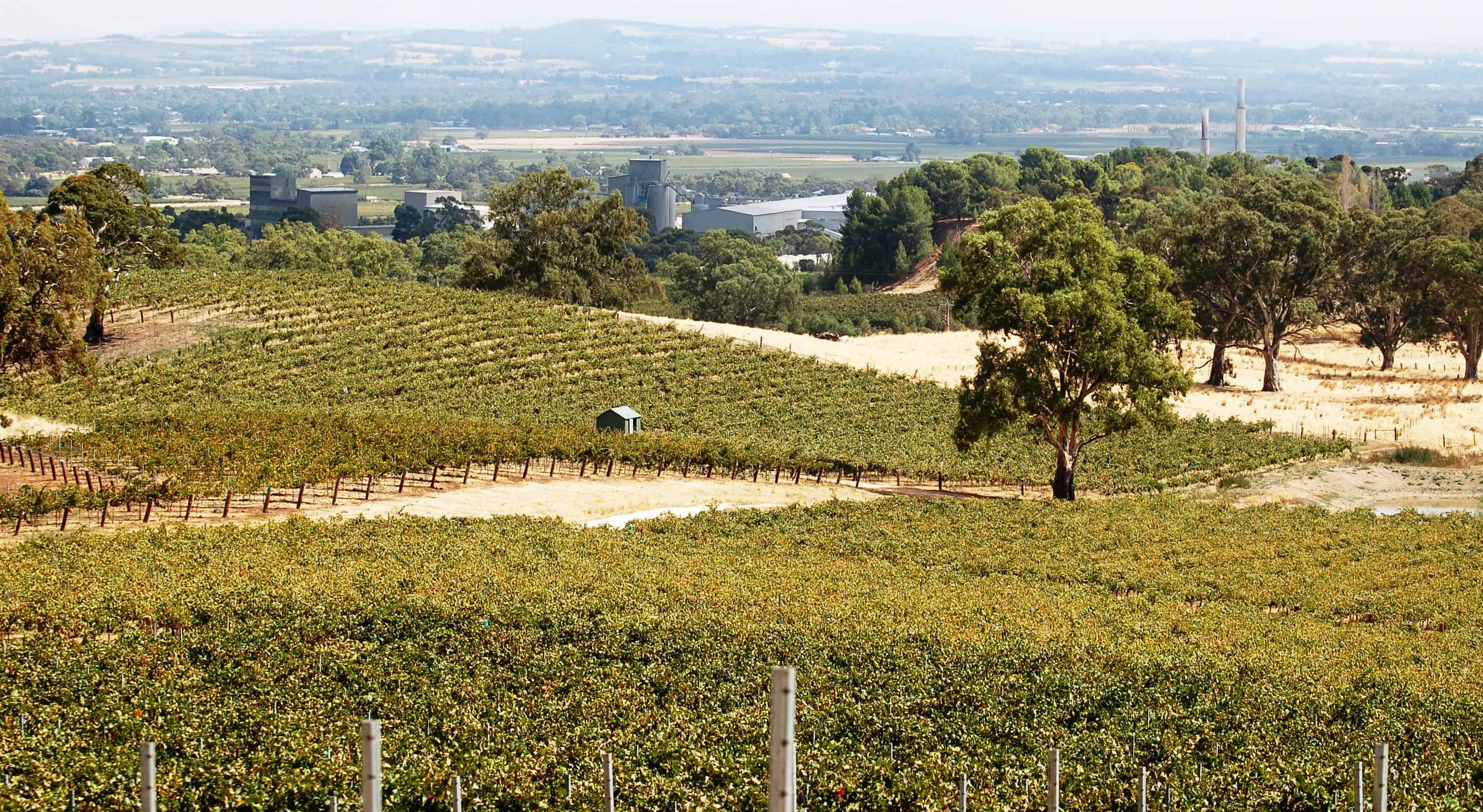 Lambert Estate - Our 2010 Visit - We Return in February 2015