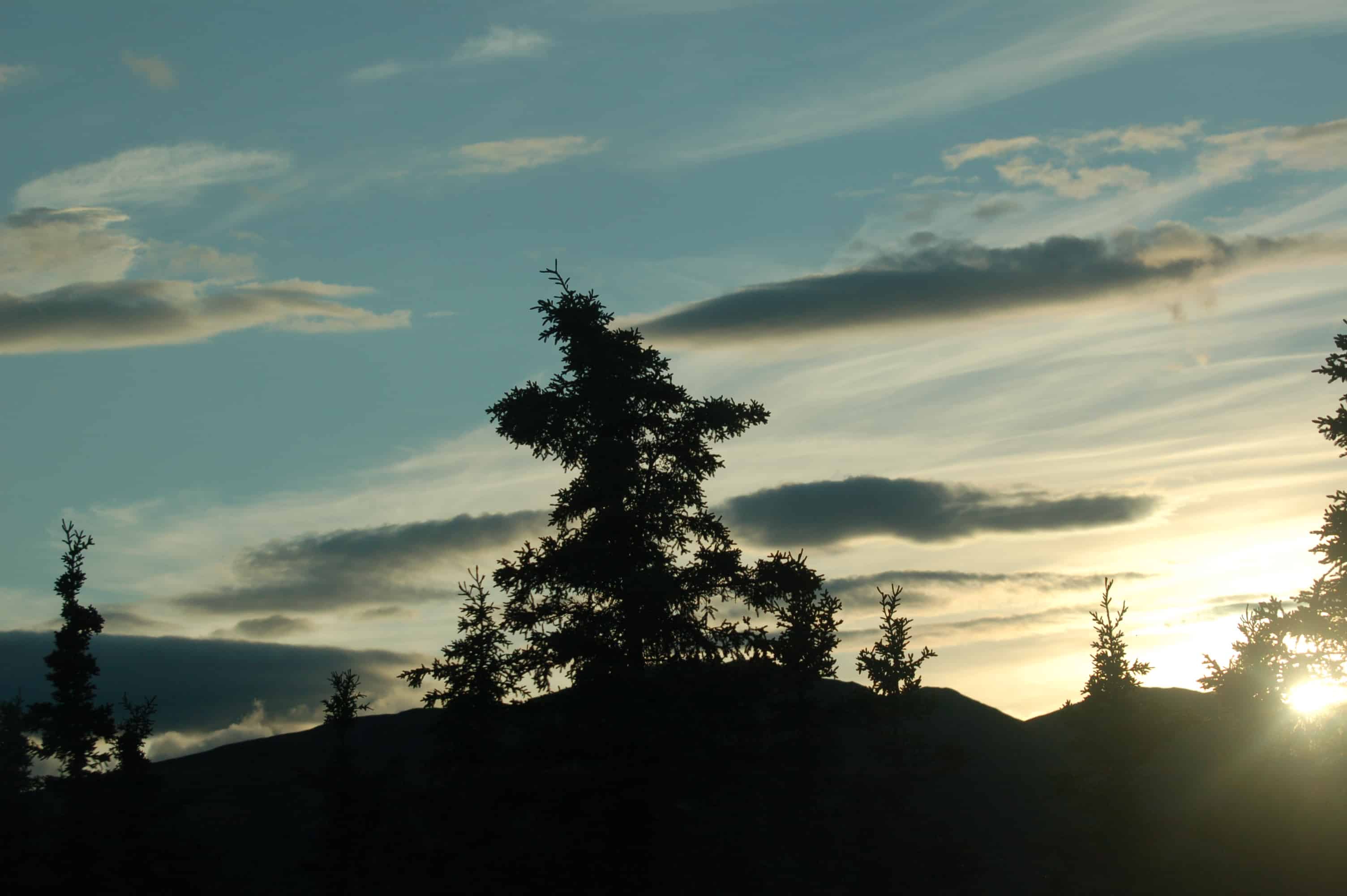 Sunset over Denali at 11 PM