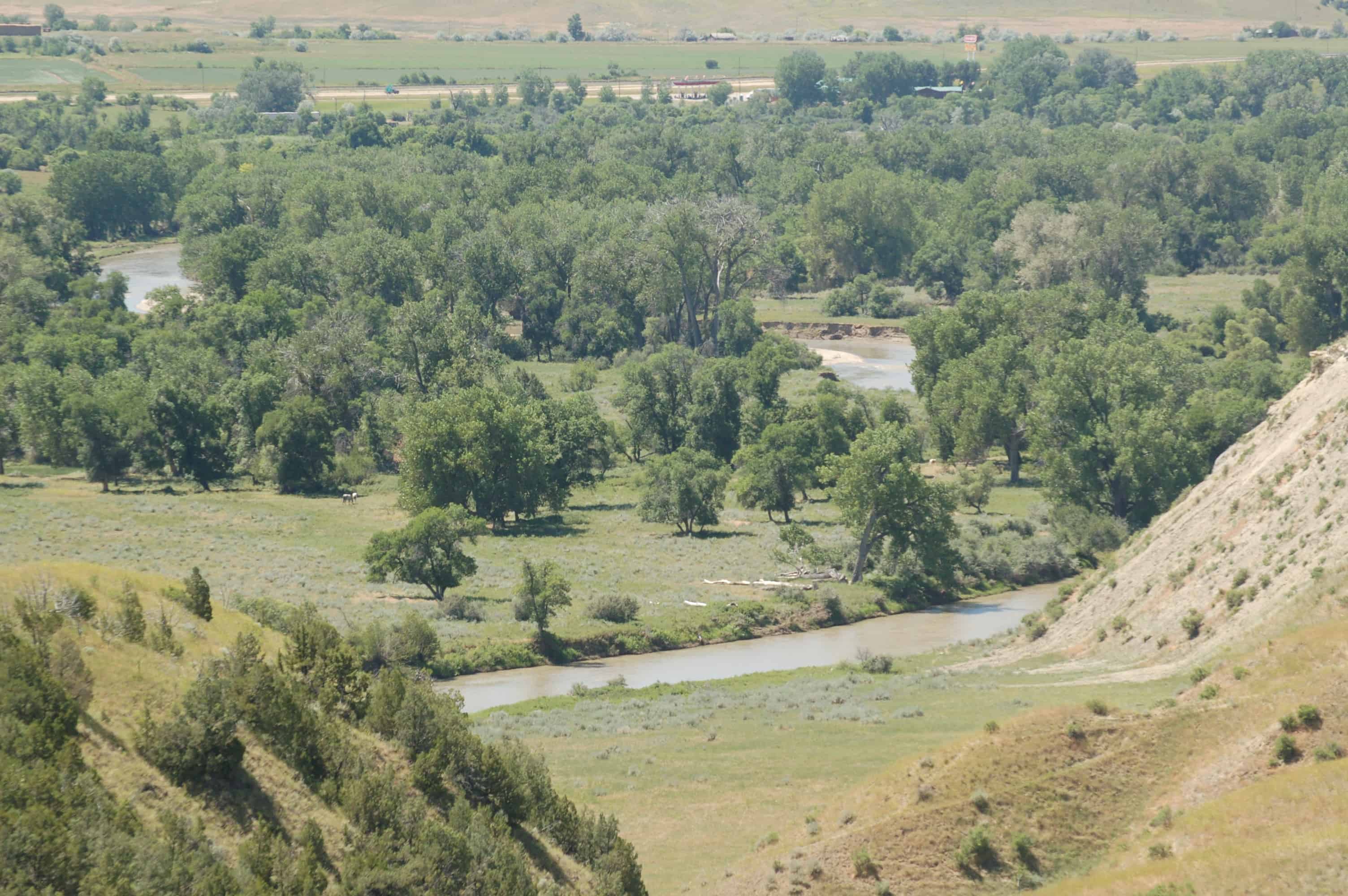 Where Major Reno retreated into the trees