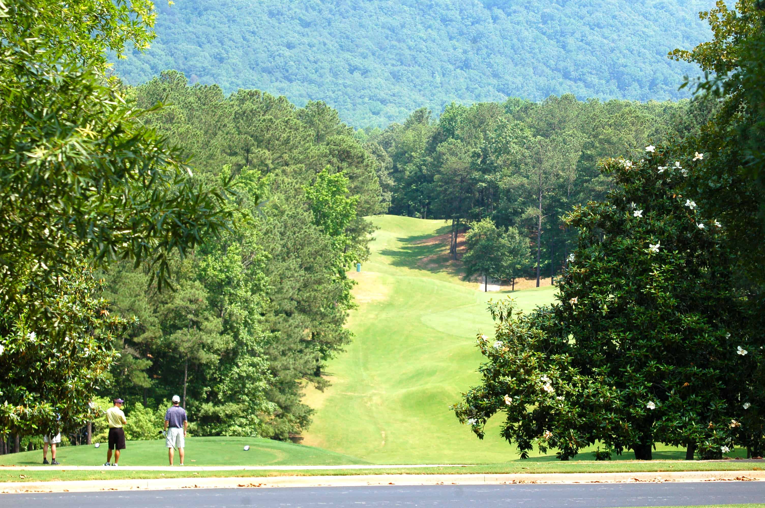 The first at the Ridge