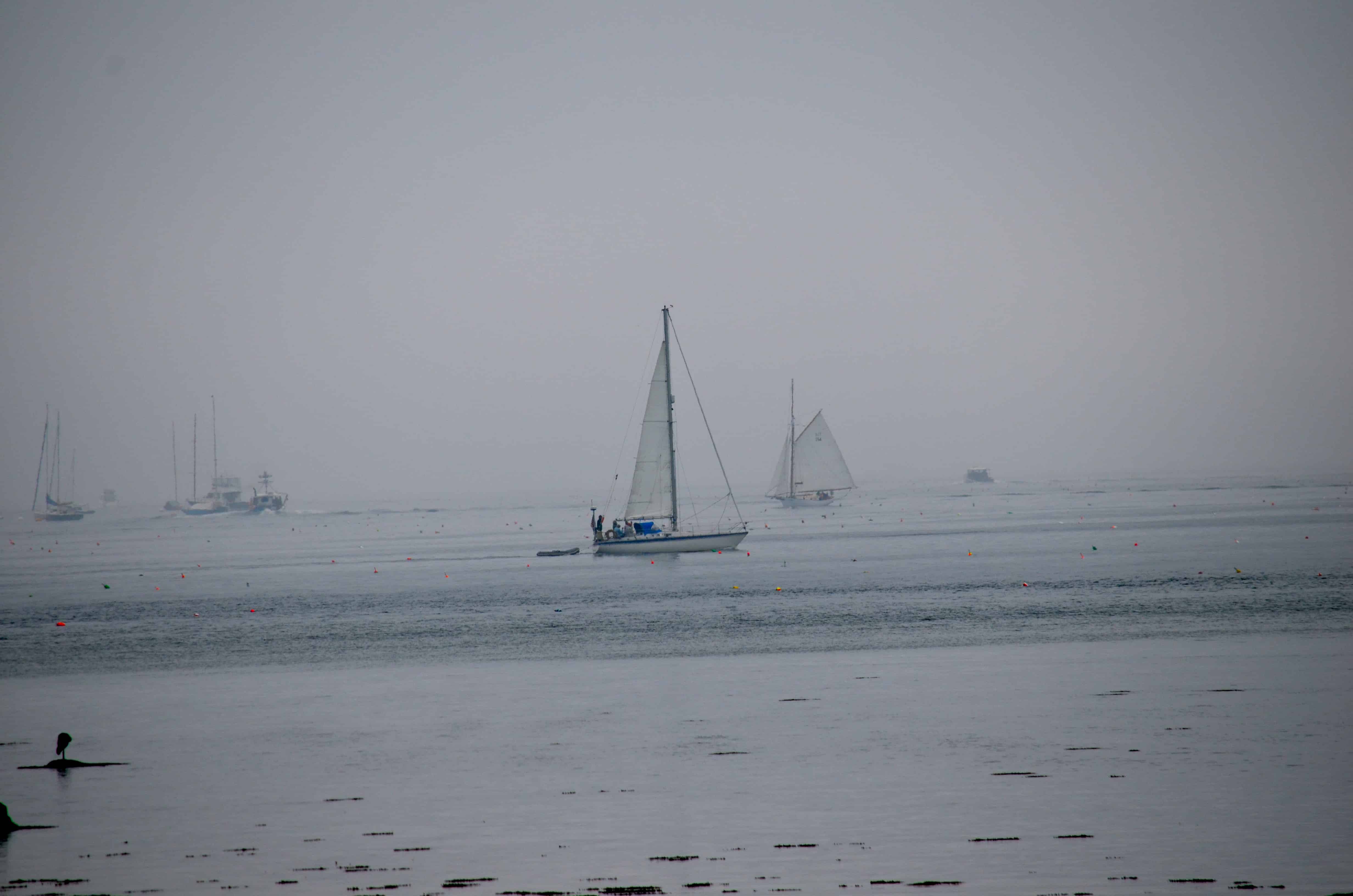 From a picnic area near Seawall Campground