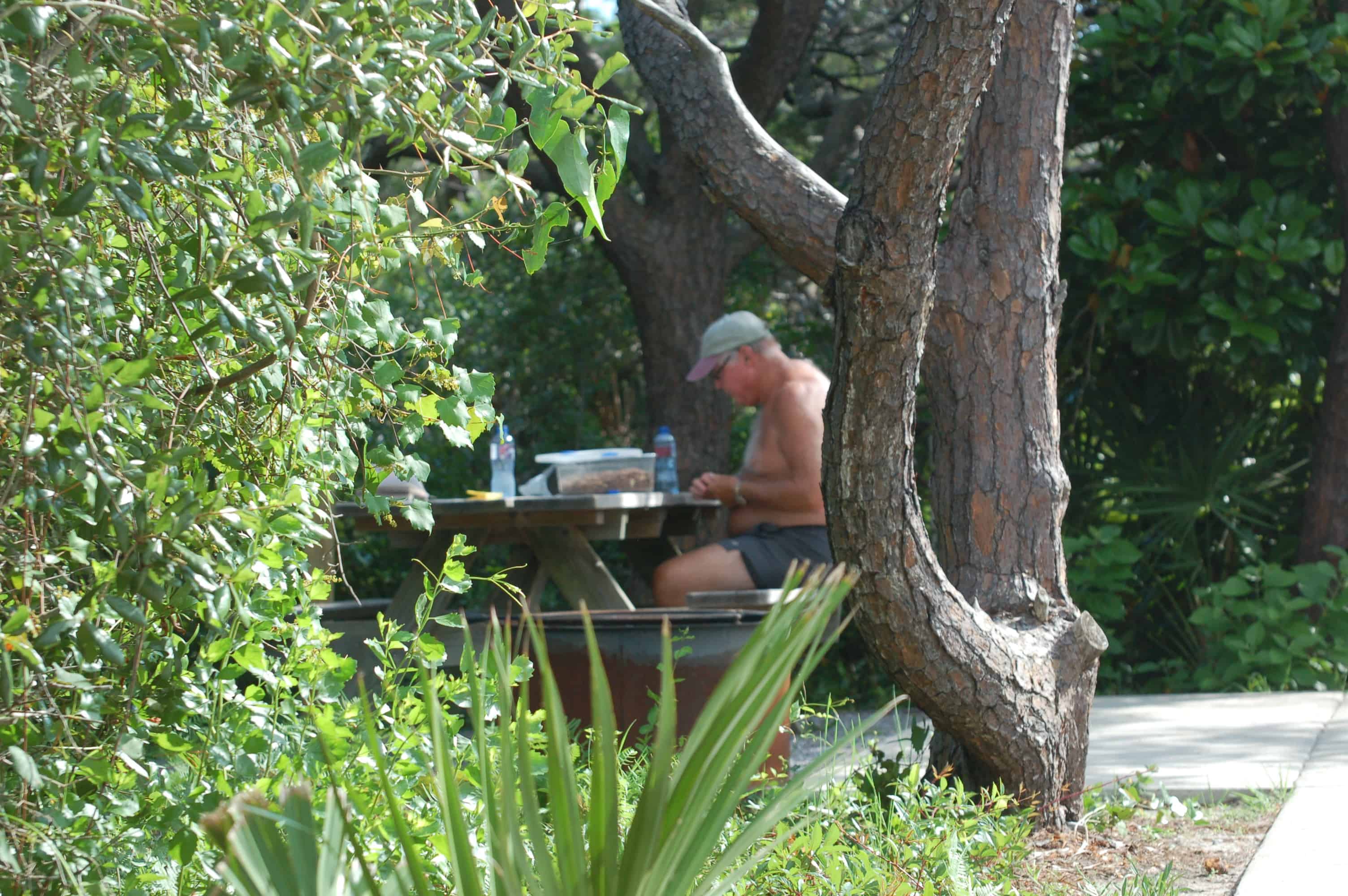 Our site in the trees