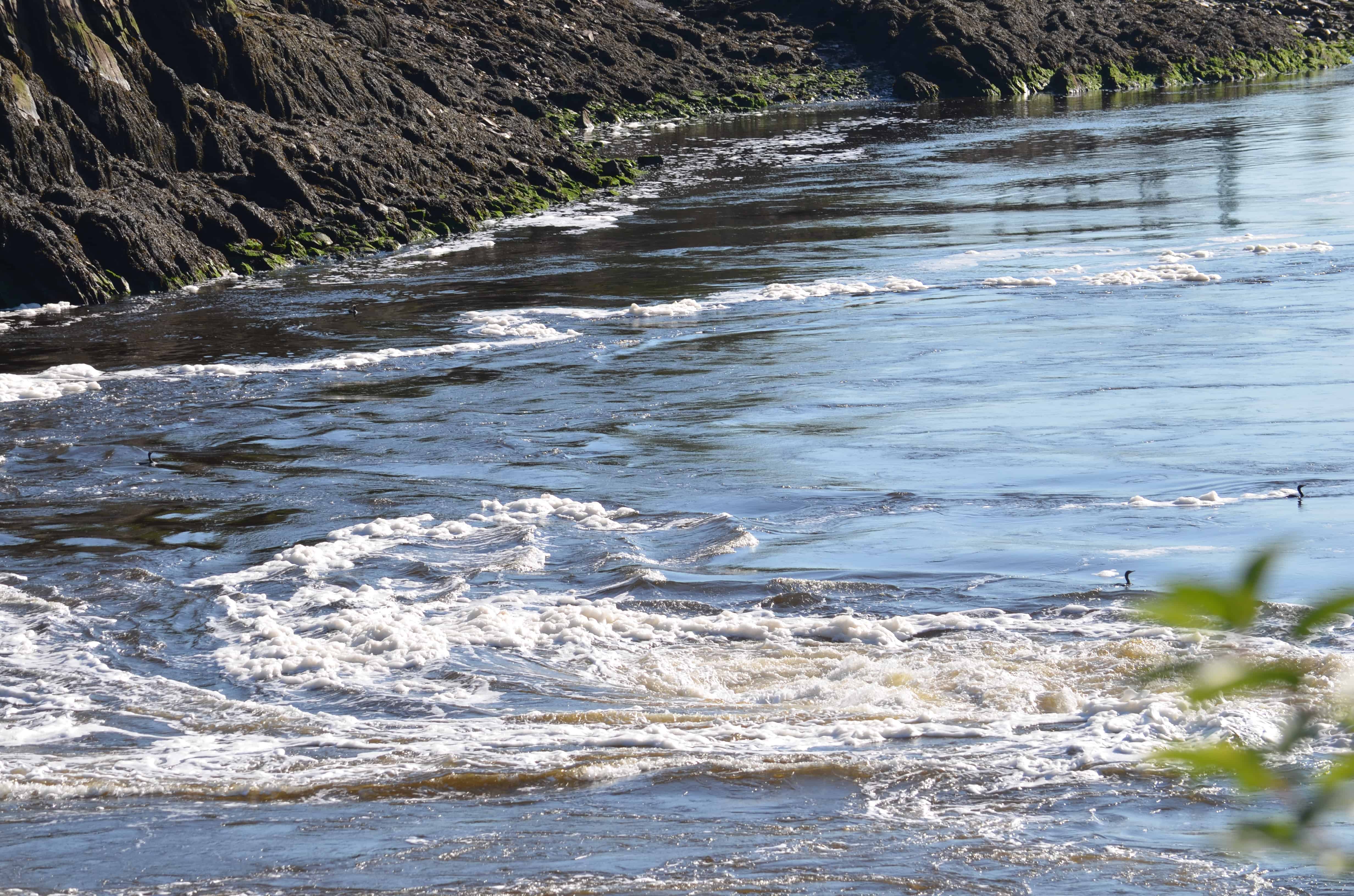 The Reversing Falls whirlpool effect