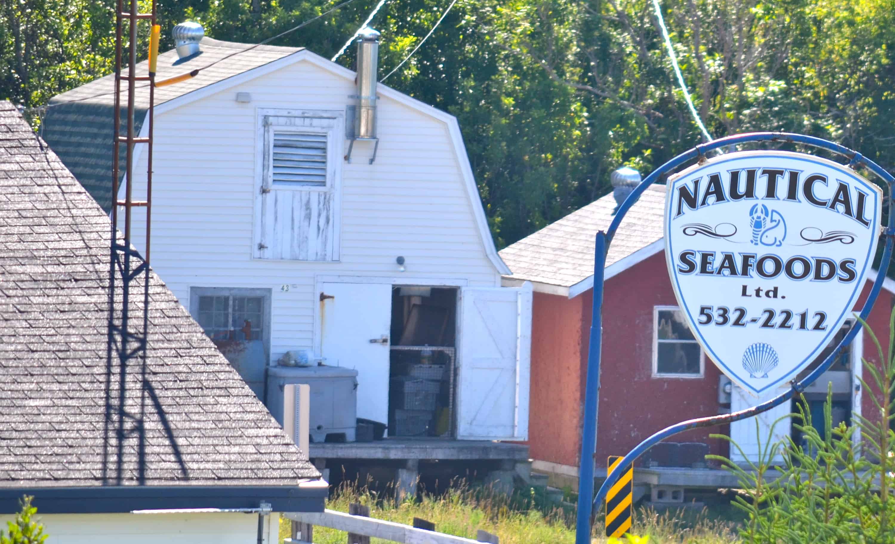 The Parker's Cove fish market