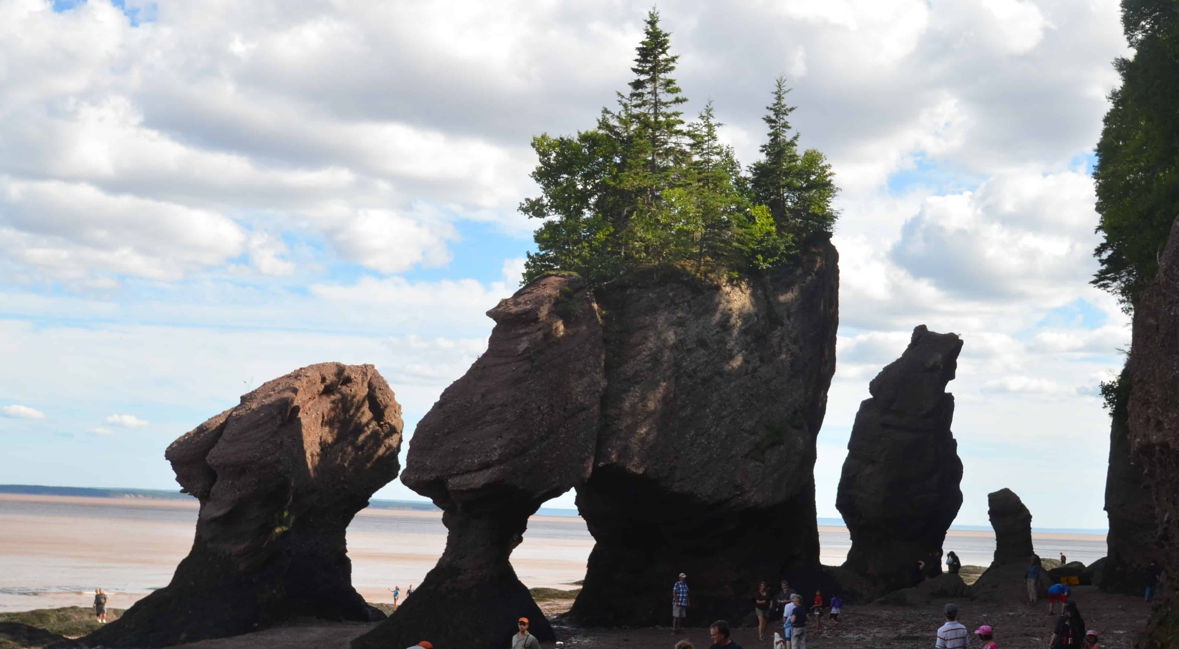Hopewell Rocks at low tide