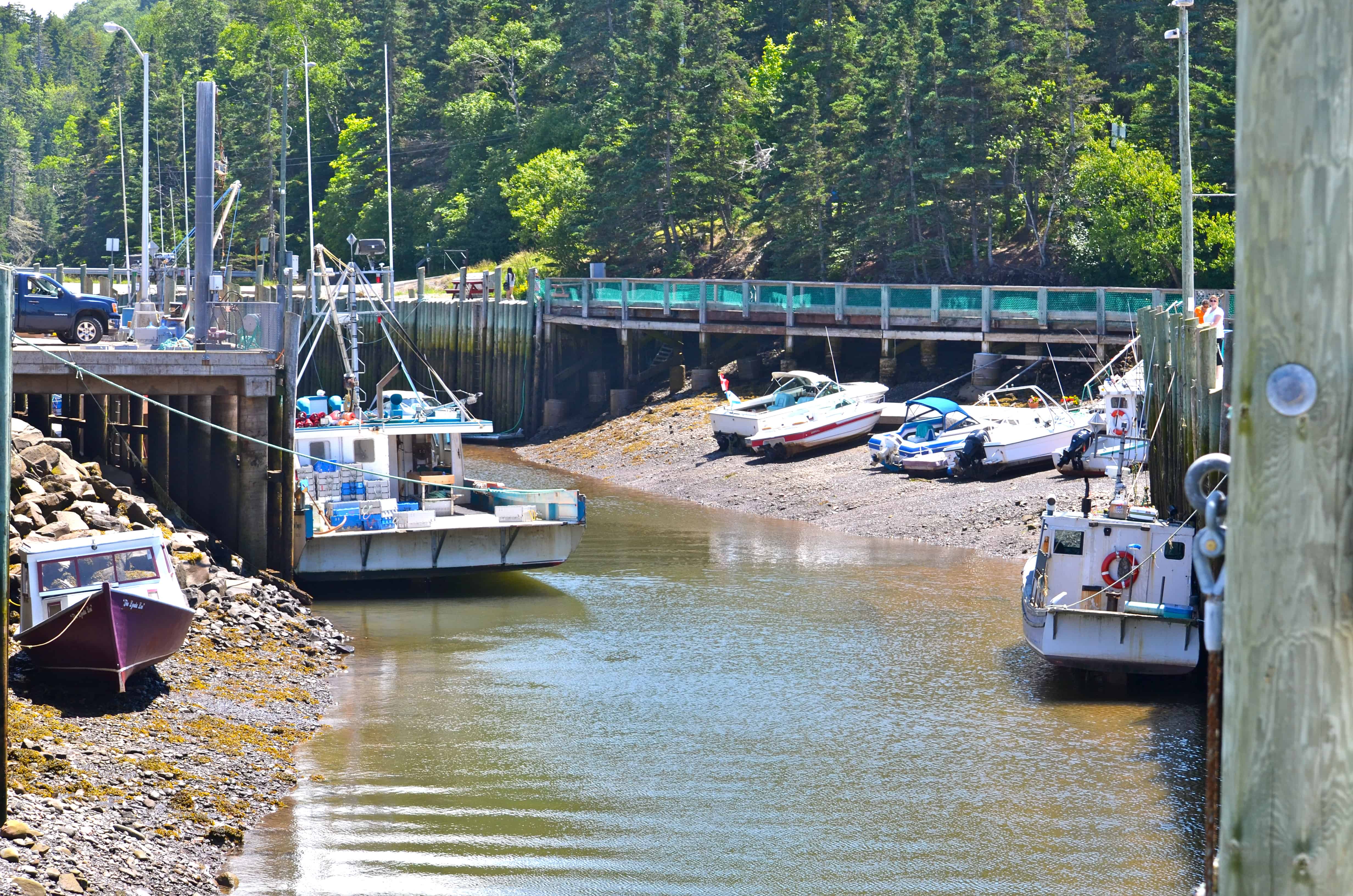 Halls Harbor at low tide