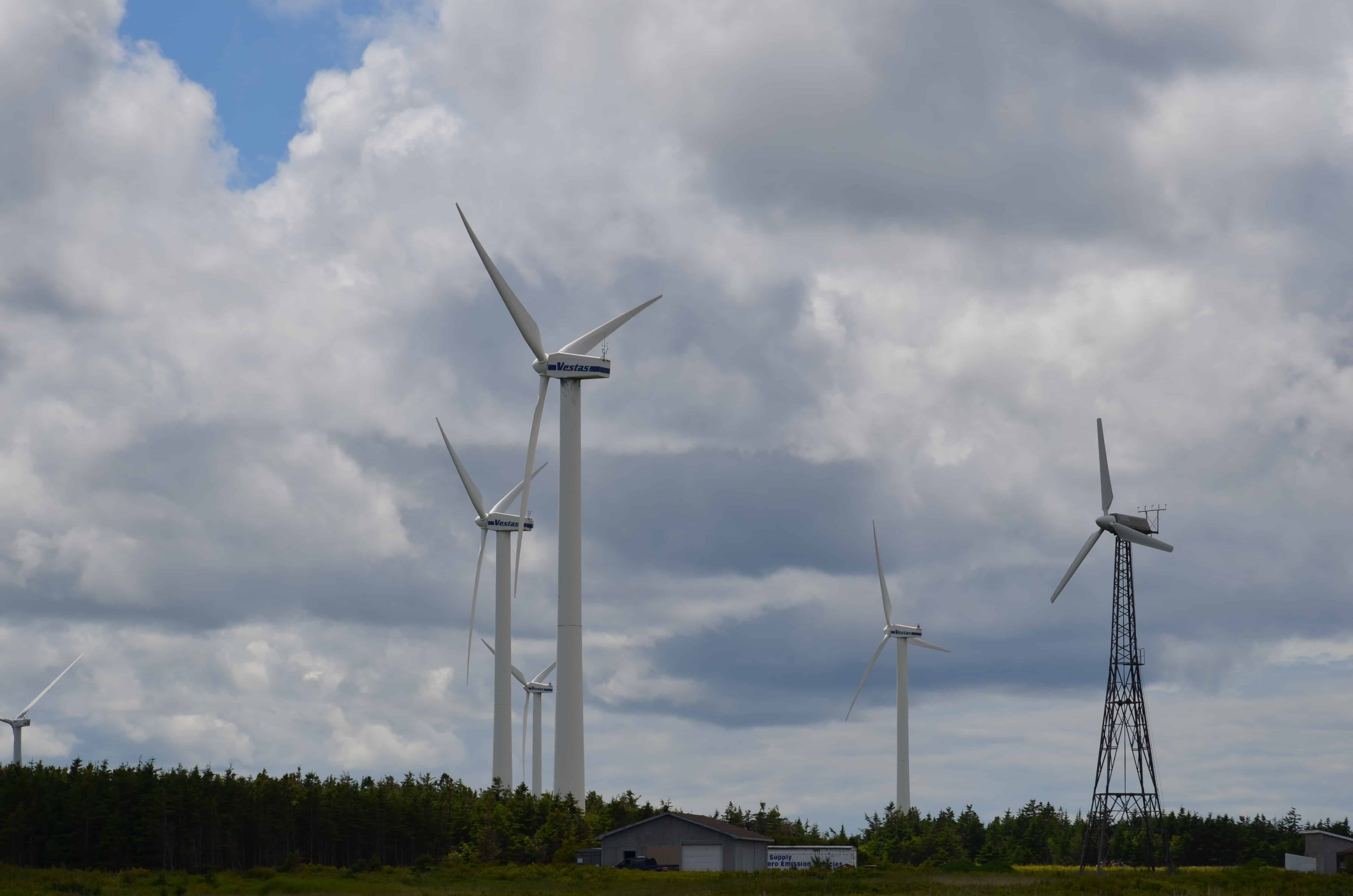 The wind farm