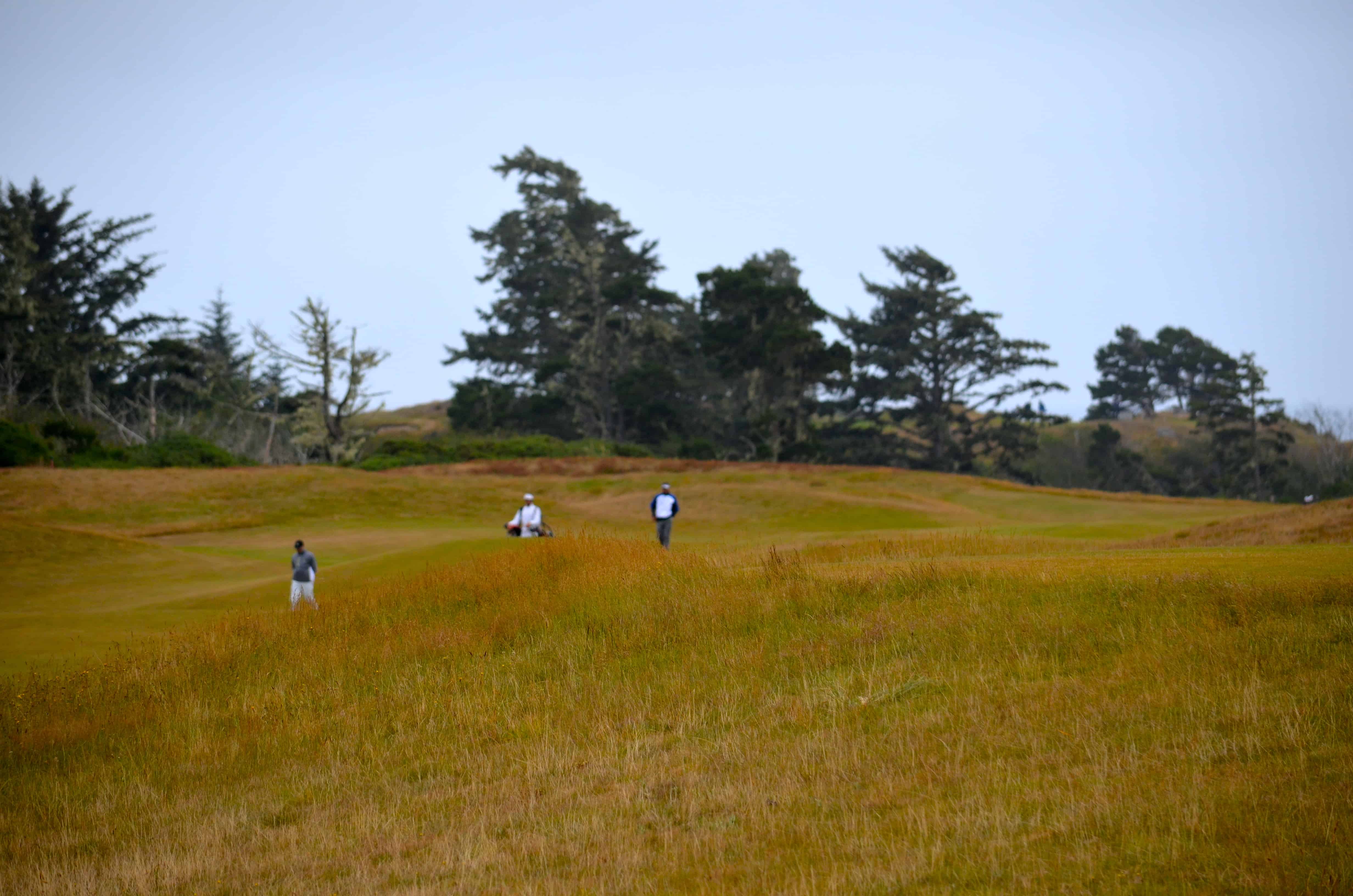 Bandon Dunes