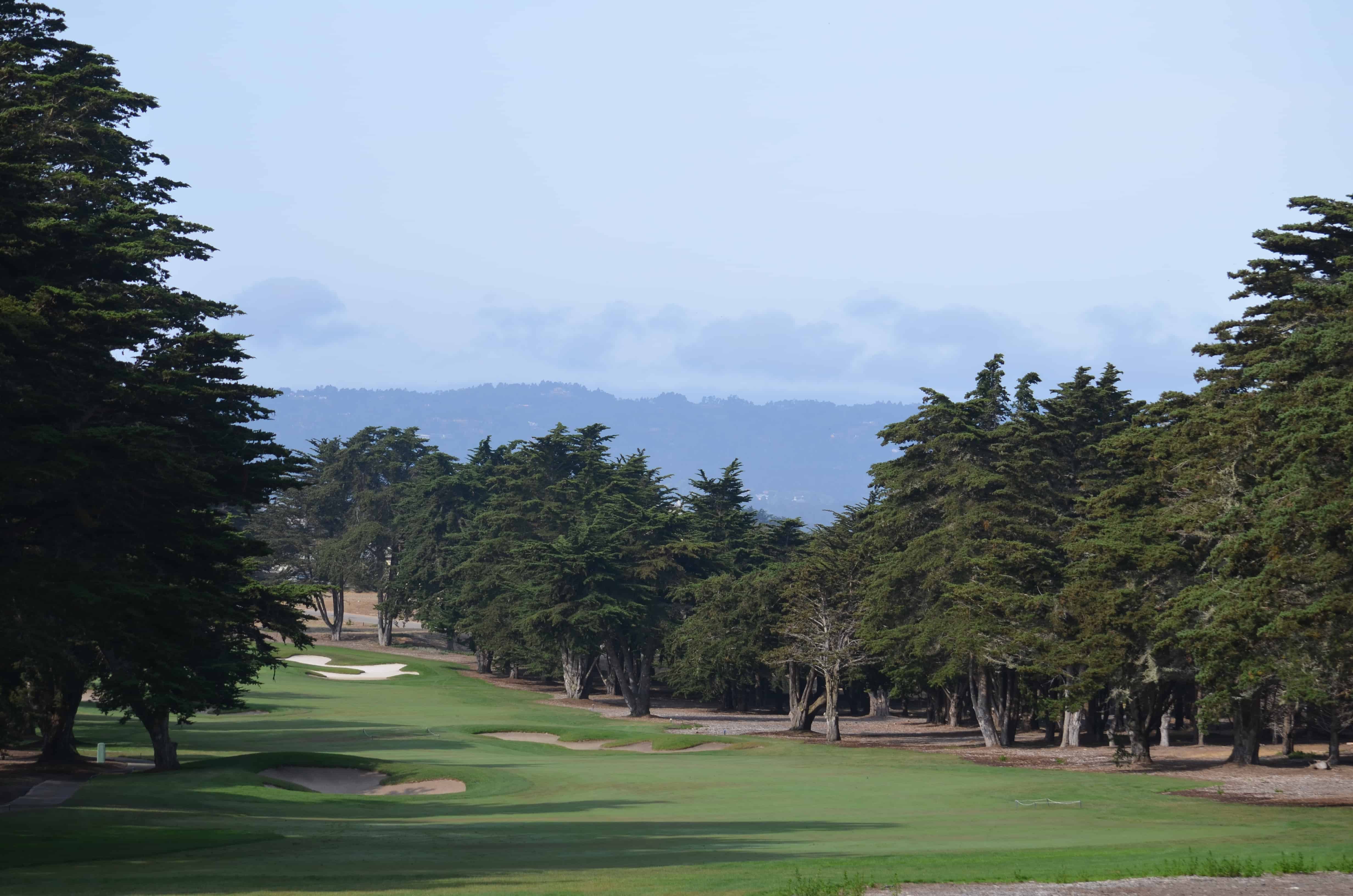 On the Bayonet Course