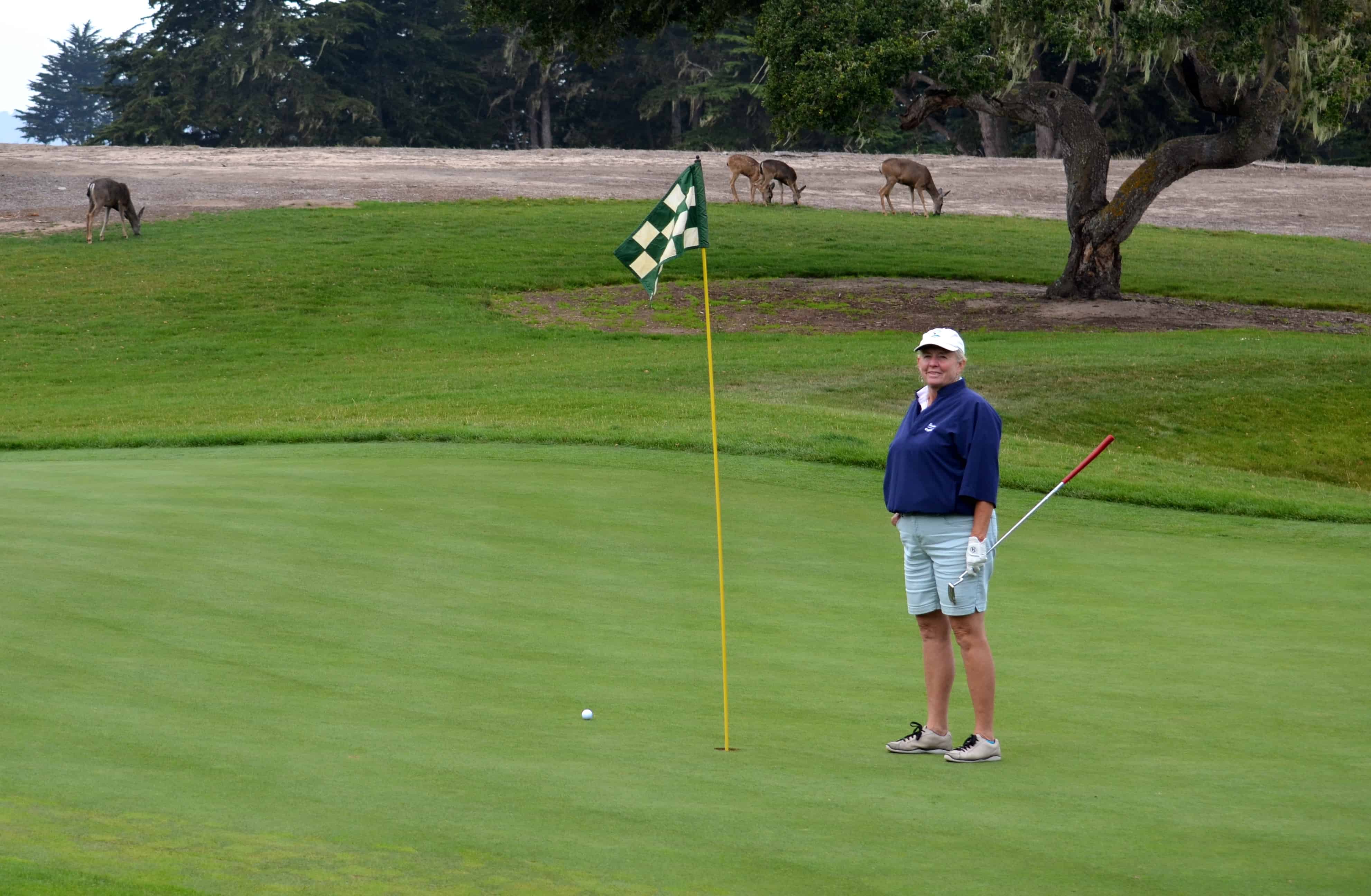 A pause to admire the local wildlife on the green
