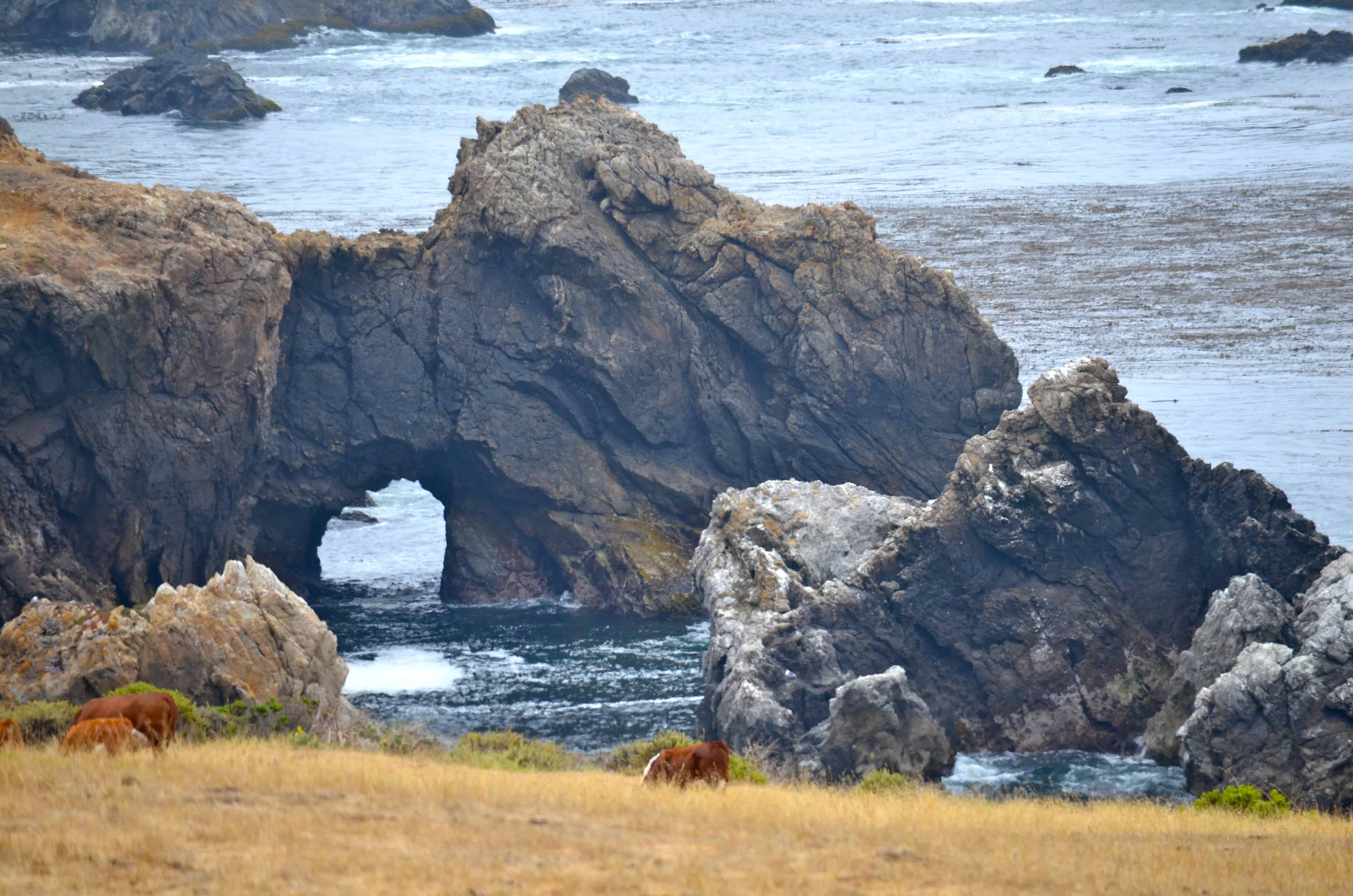Down the California coast