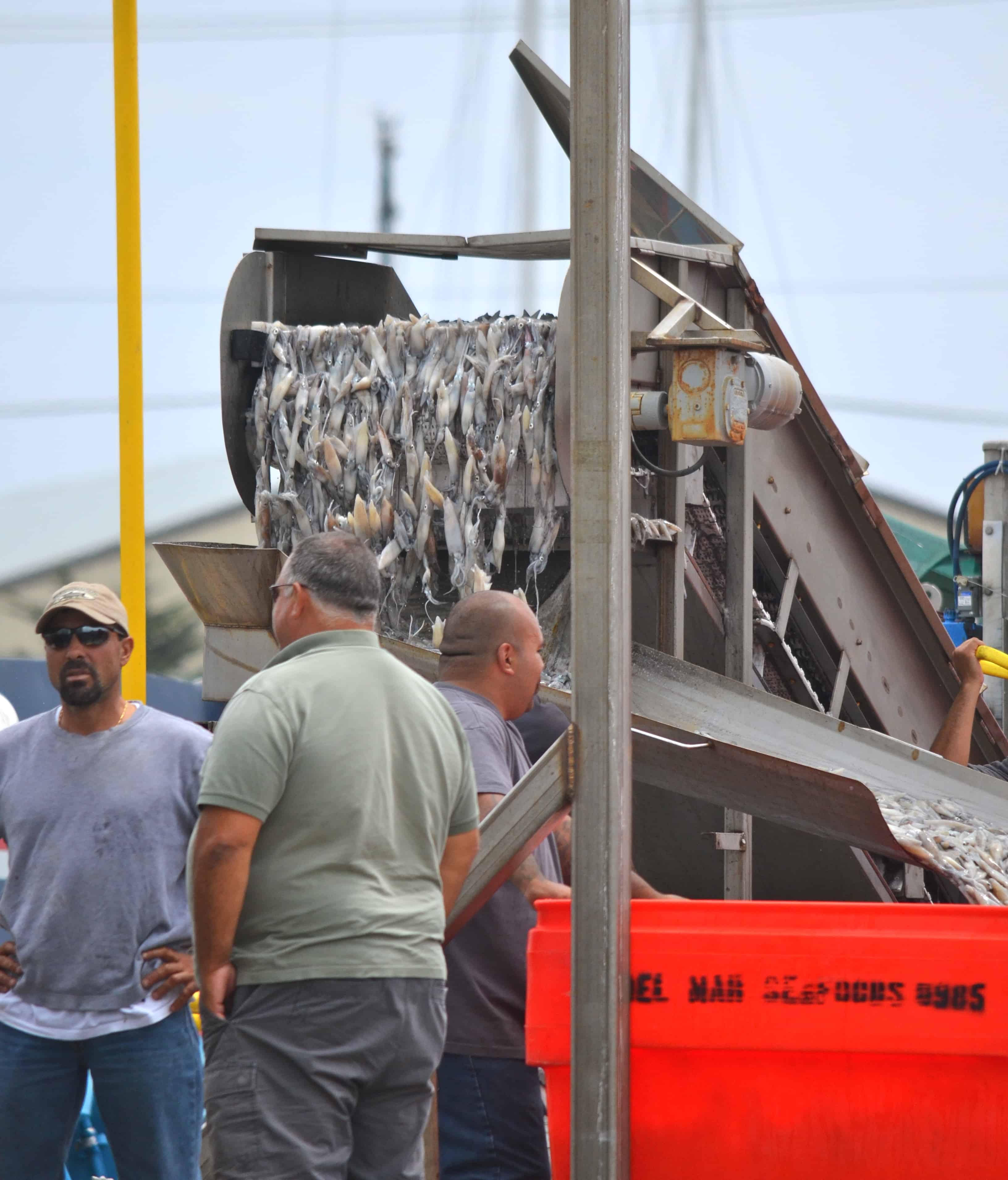 Boats unloading at Moss Landing