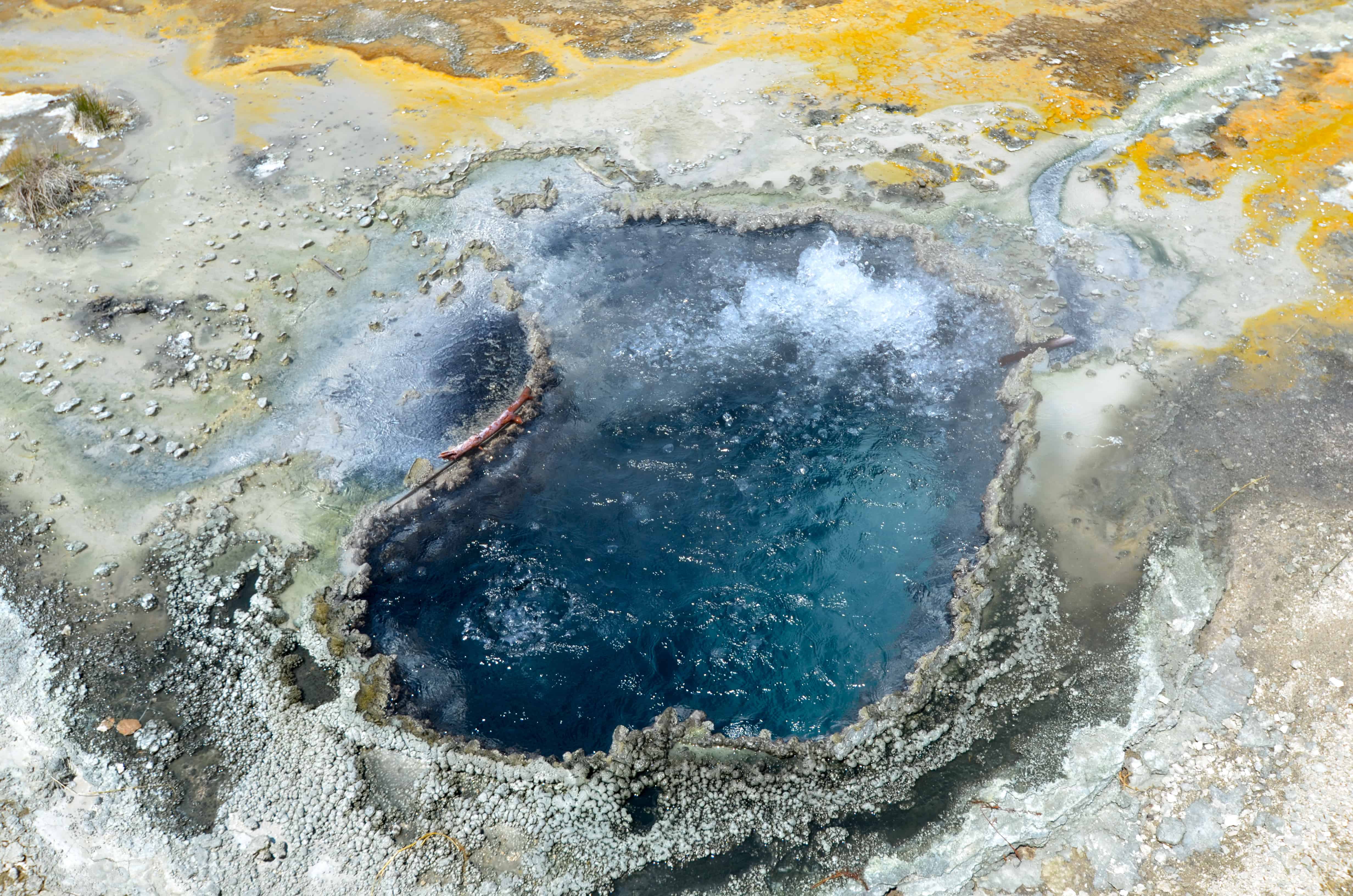 Artemisia Geyser