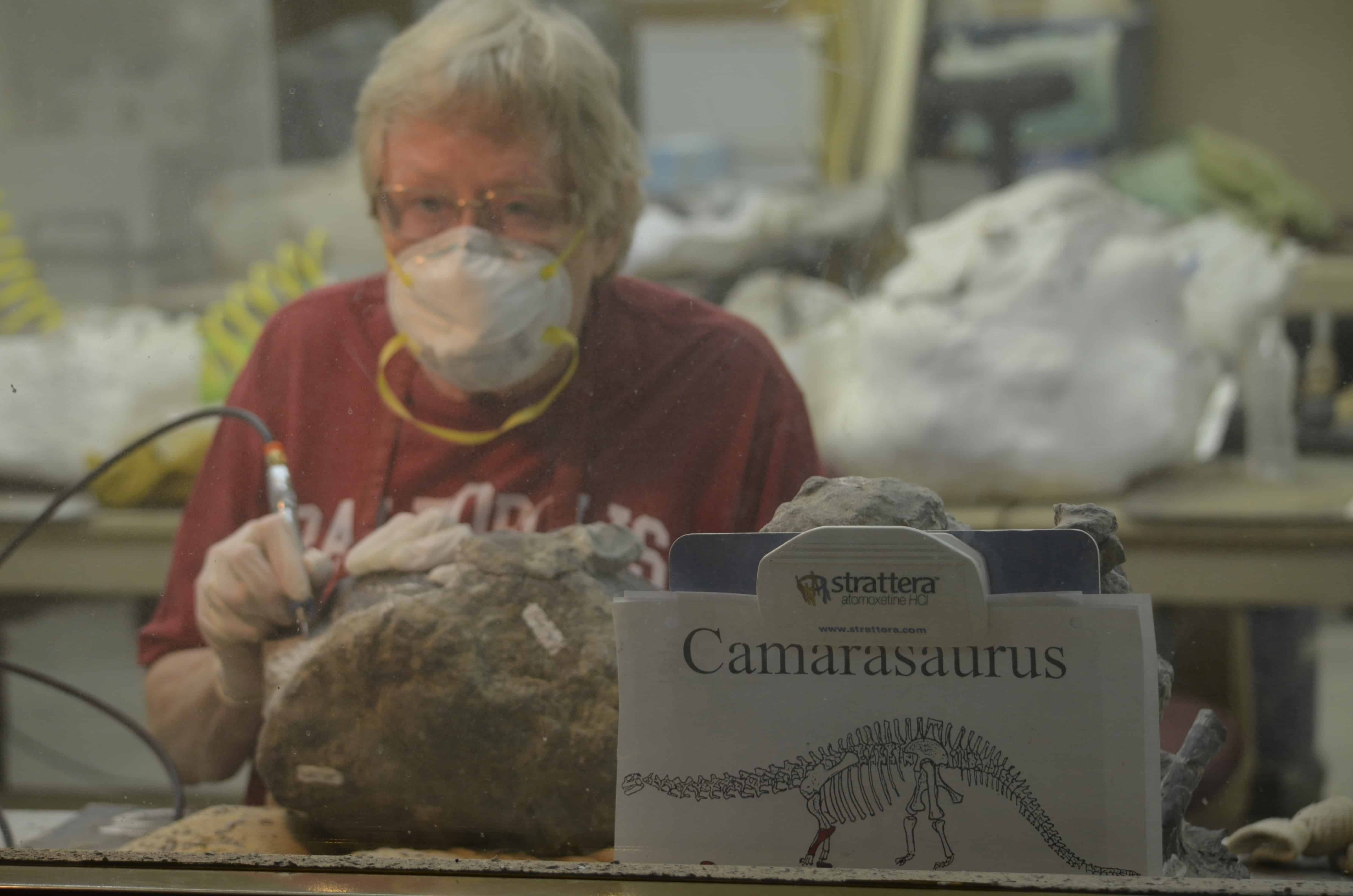 Inside the dinosaur lab
