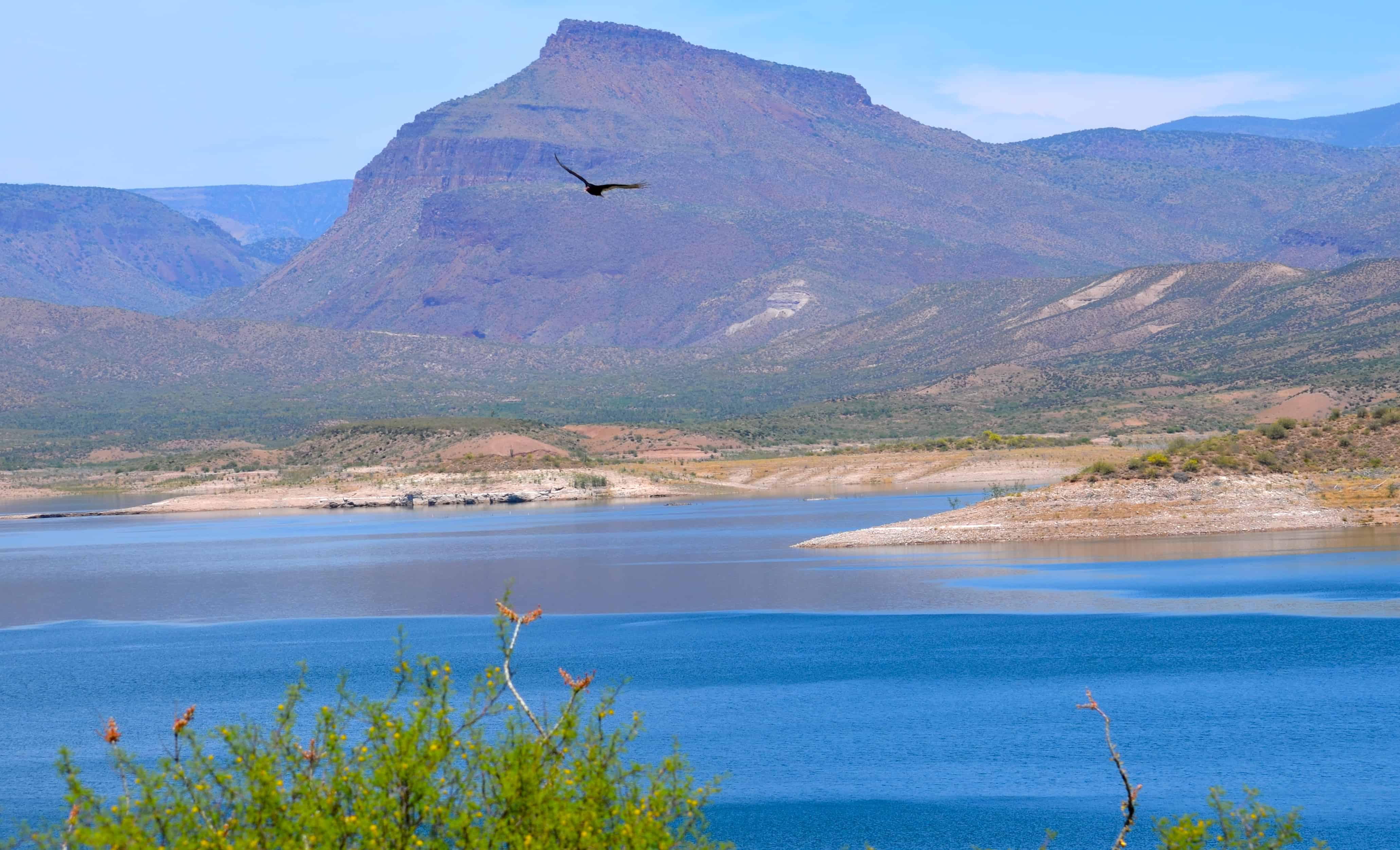 Roosevelt Lake