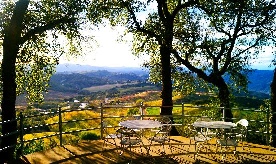 From the hilltop at Adelaida Cellars
