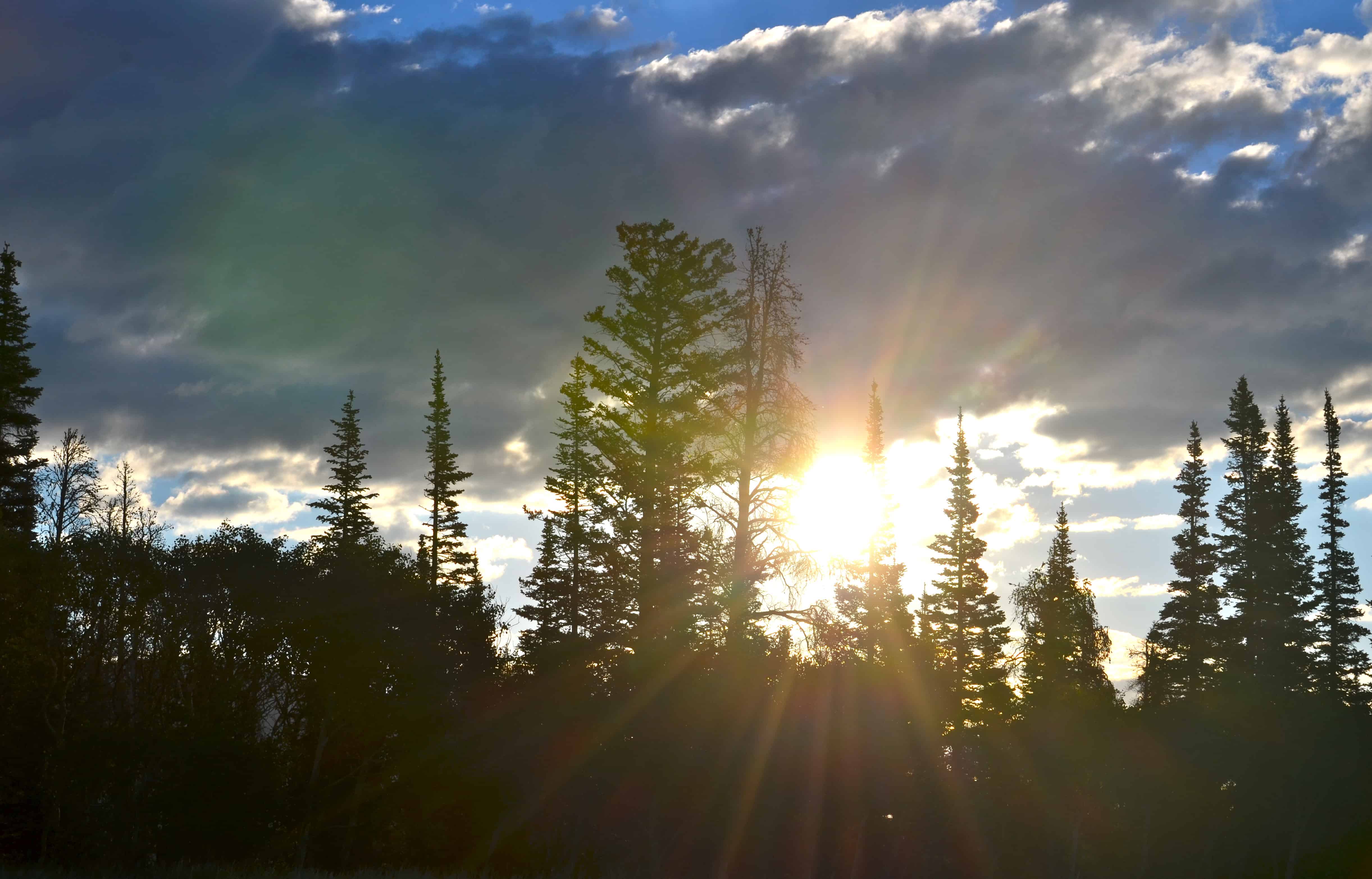 Sunrise in the Snowy Range