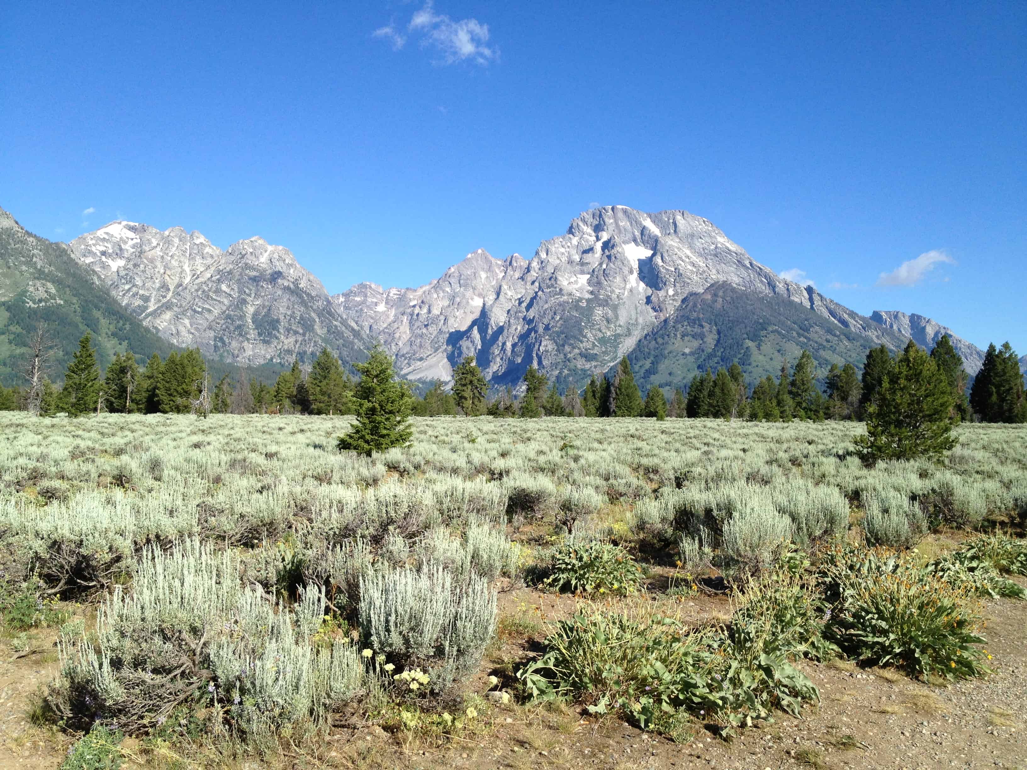 The Teton Peaks