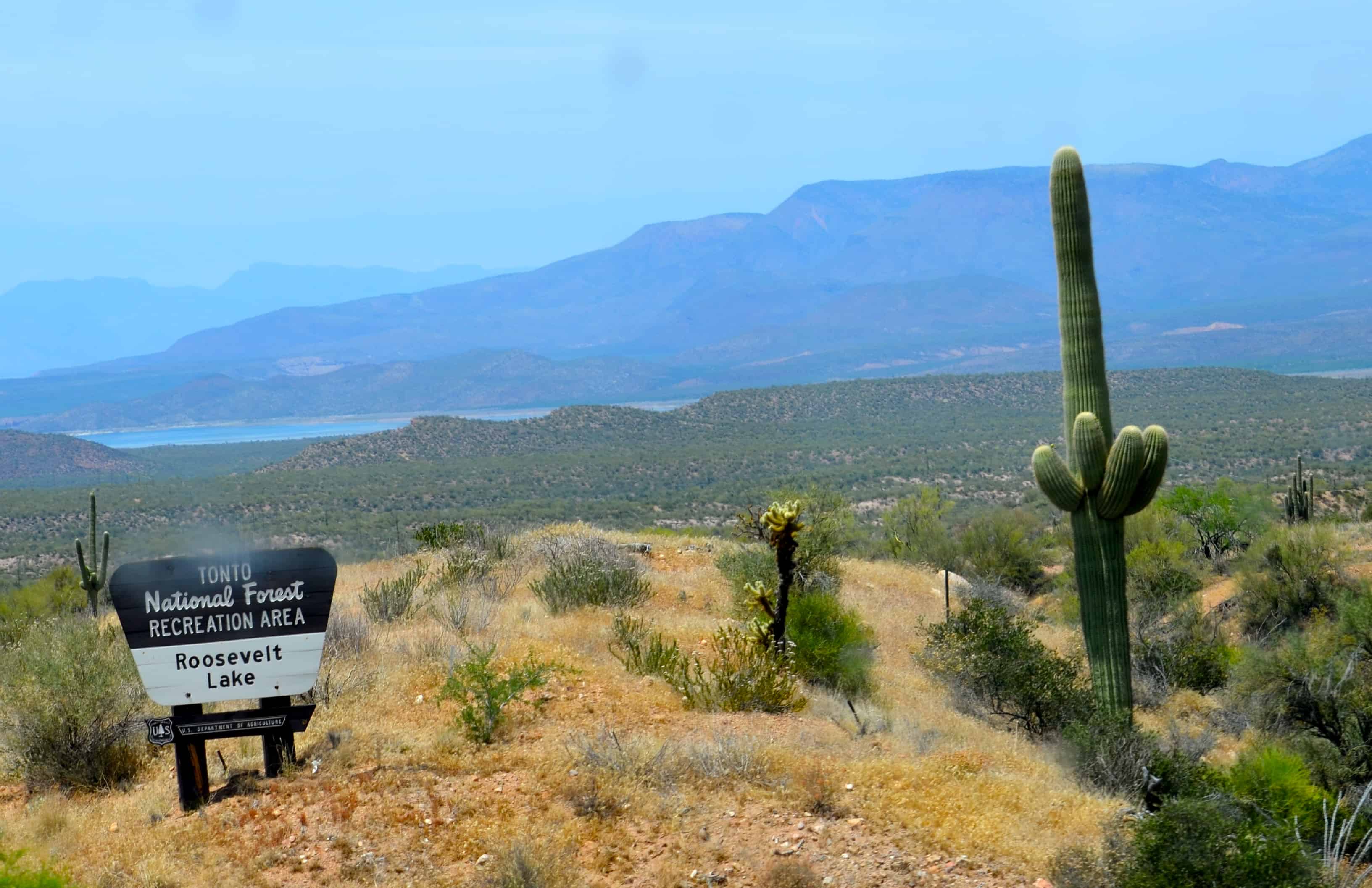 Tonto National Forest