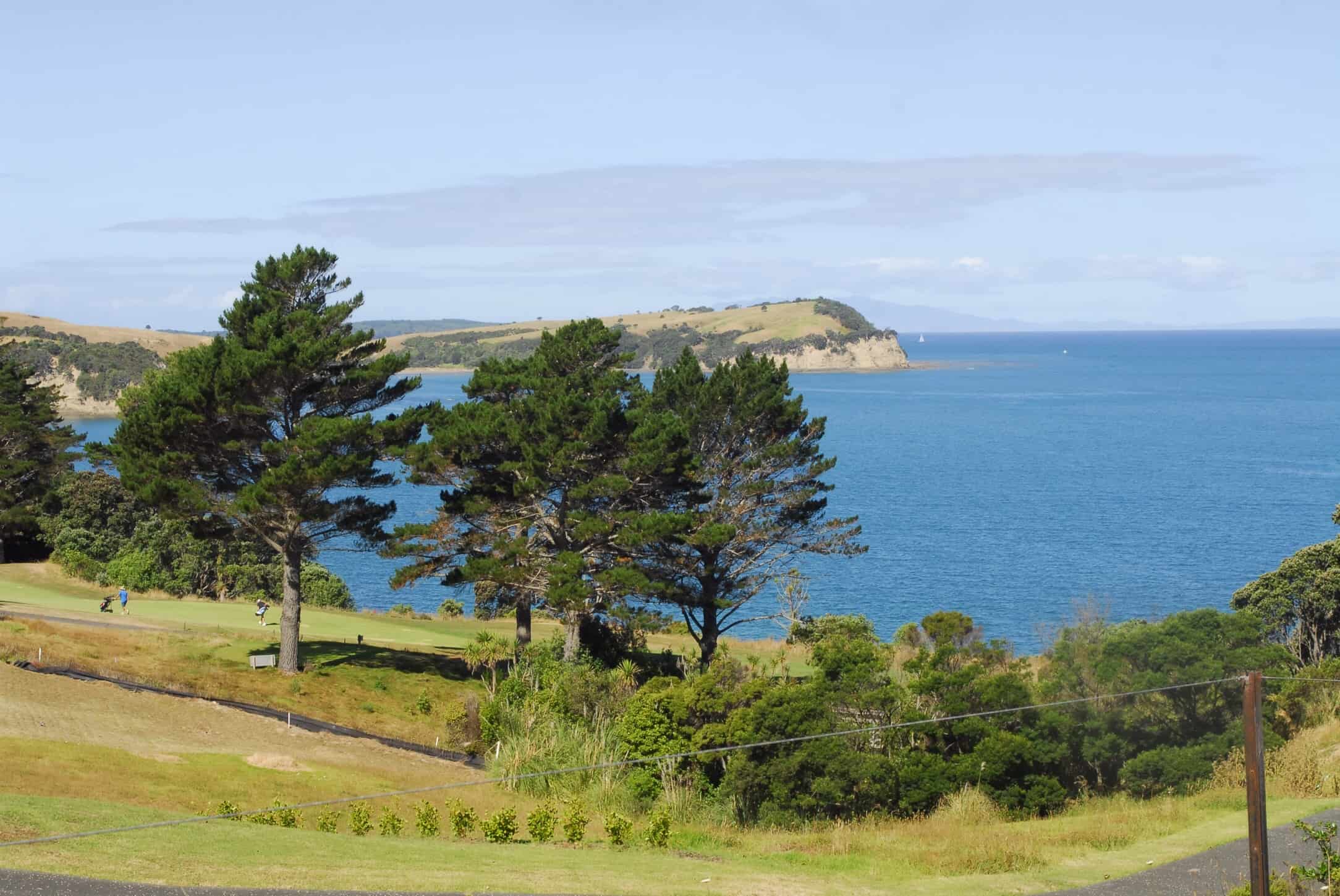 Front nine at Gulf Harbour