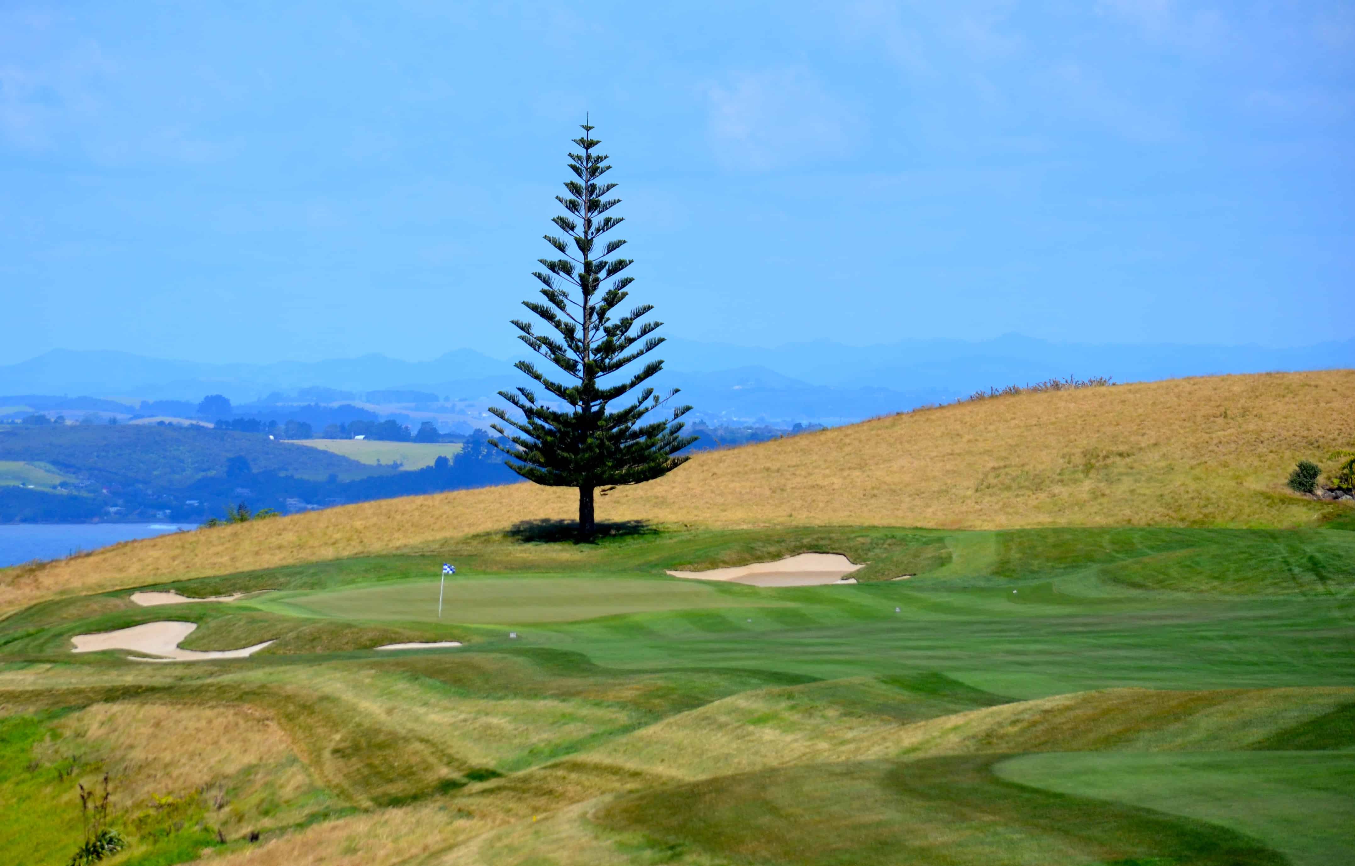 Hole 17 with its iconic tree