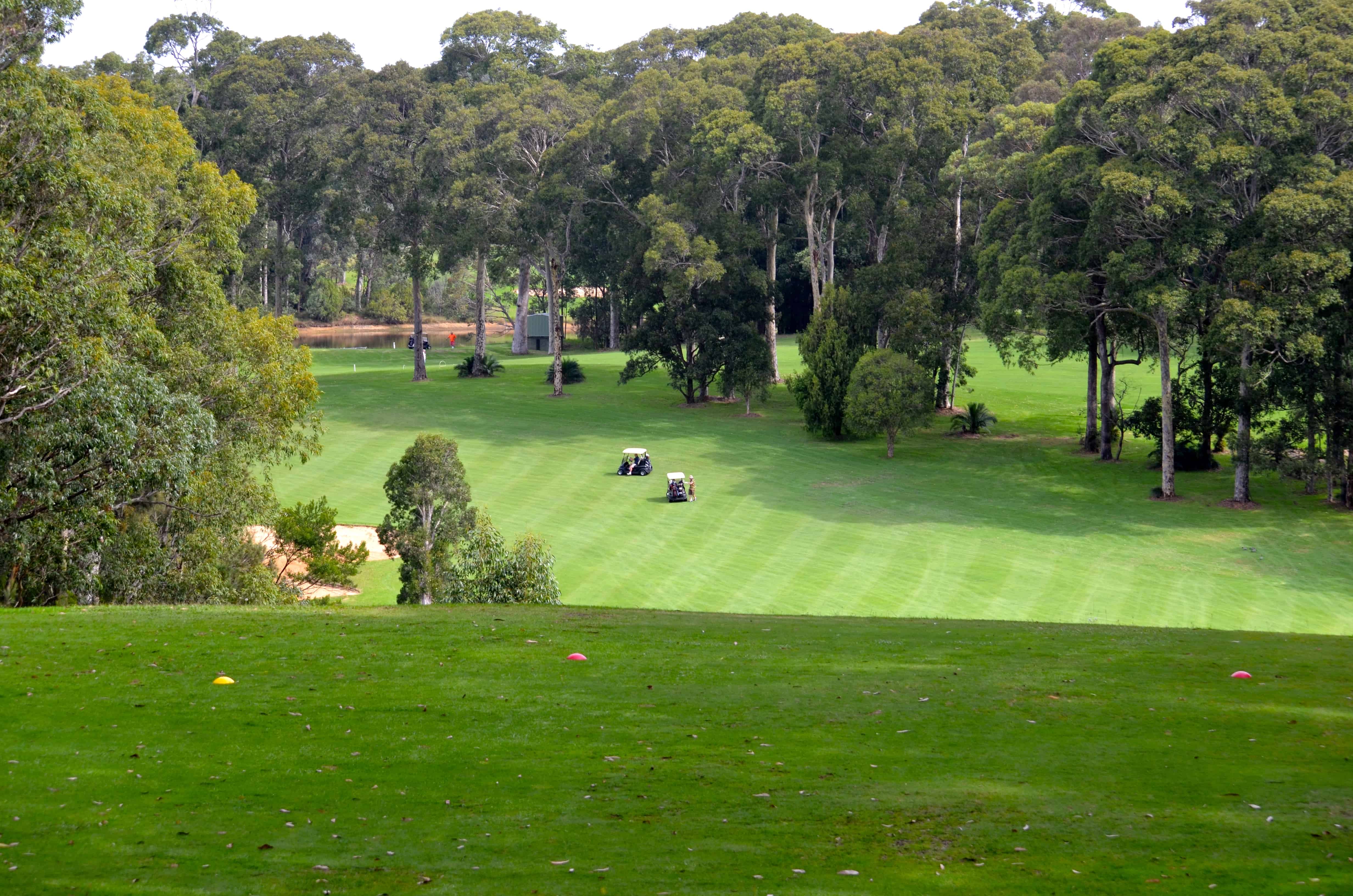 An inland hole, in the bush