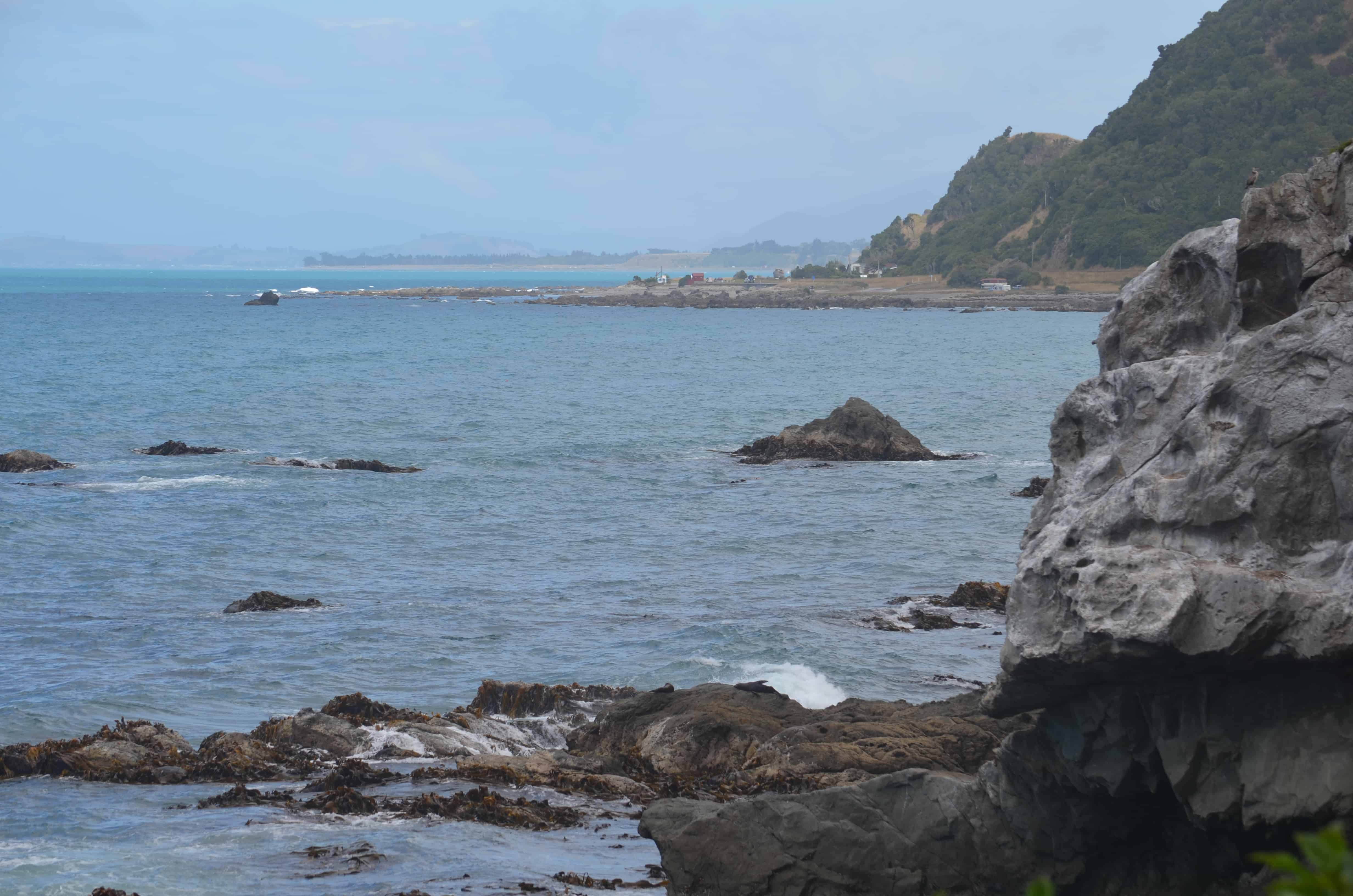 Lazing on the rocks