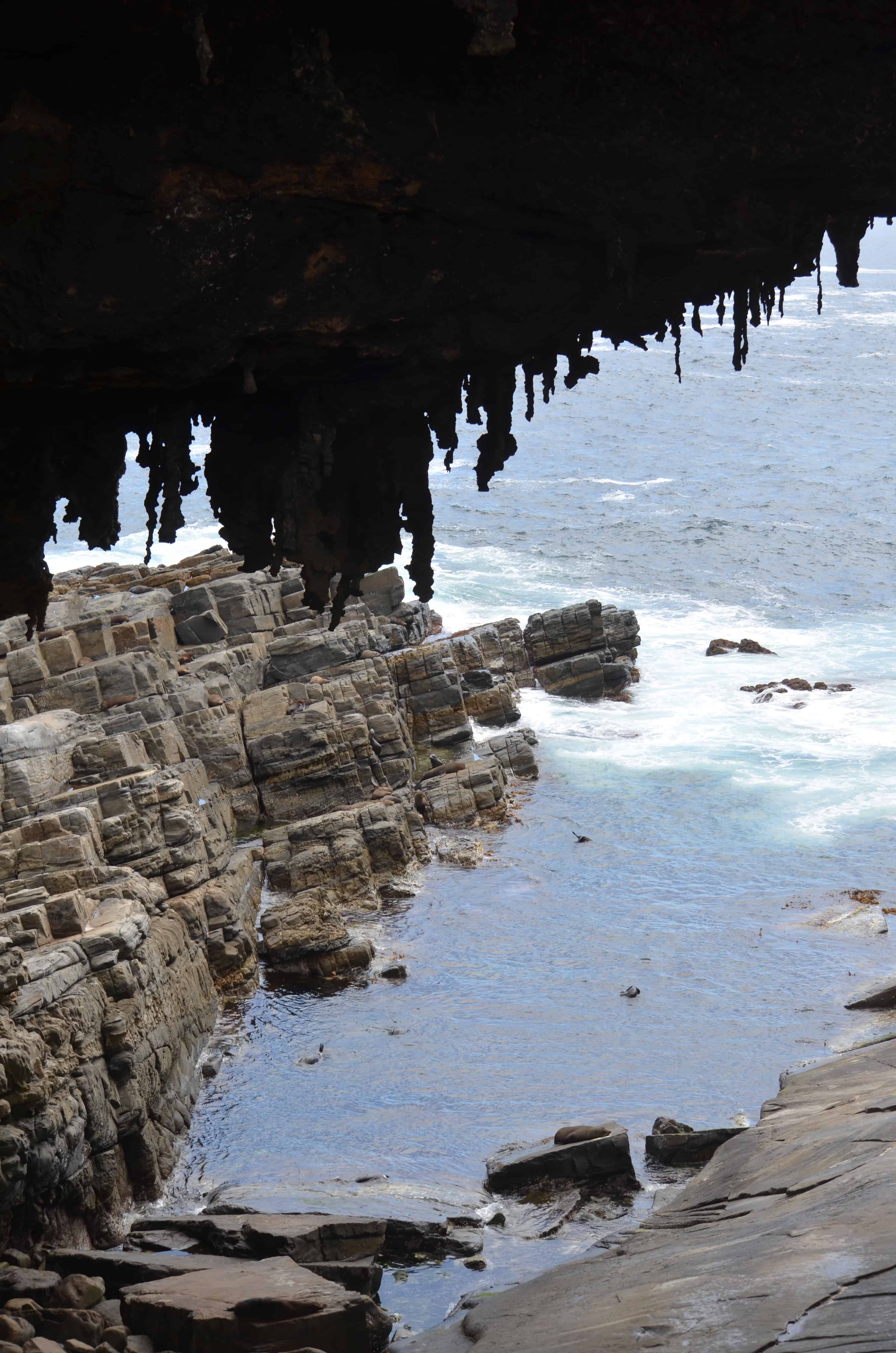 The Remarkable Rocks