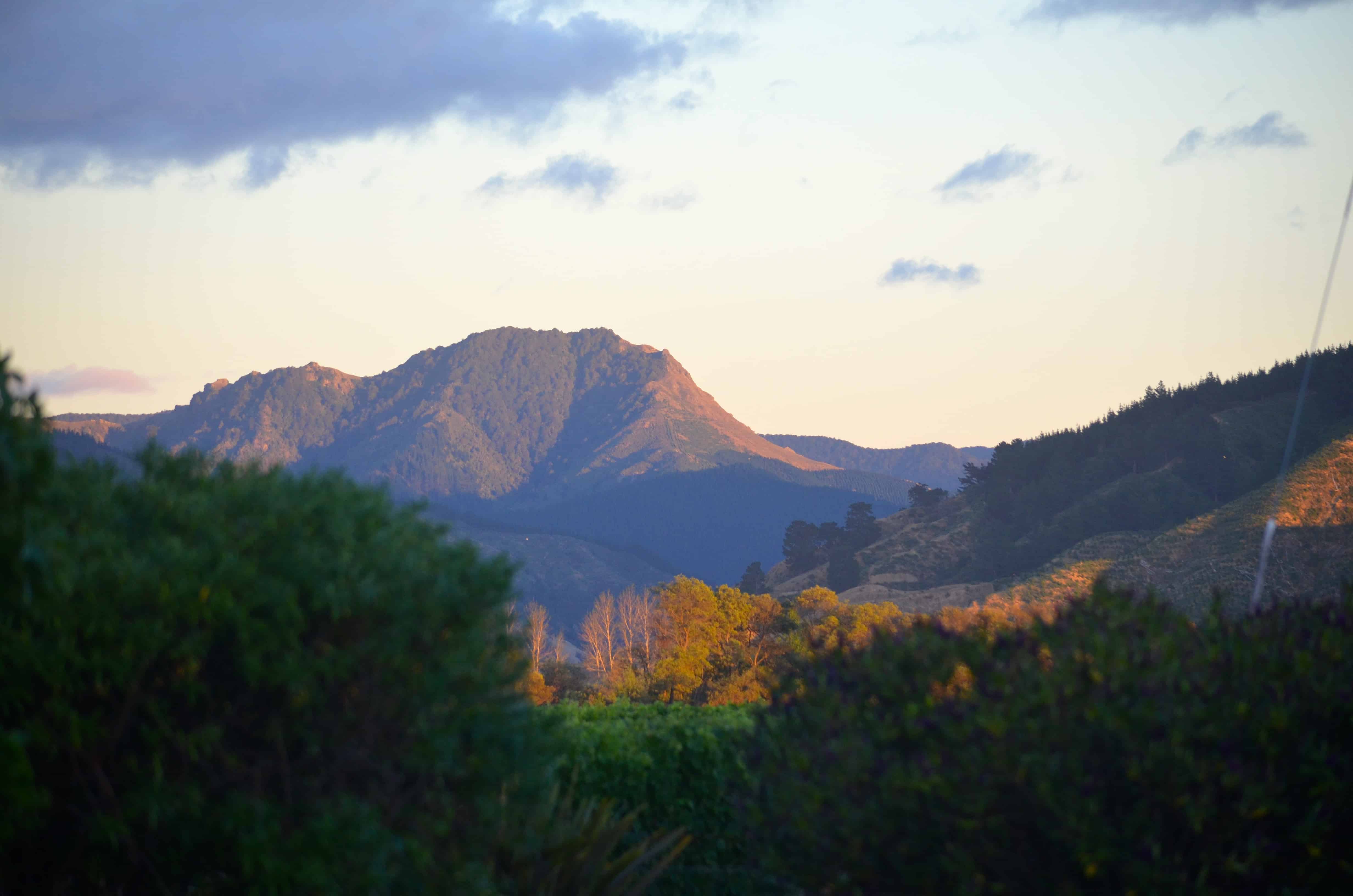 The mountain view from the cottage