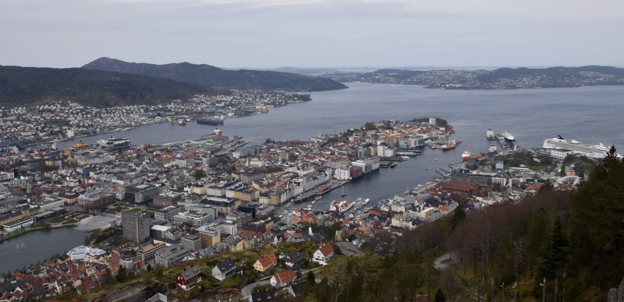 Bergen and its harbor from Mount Floyen
