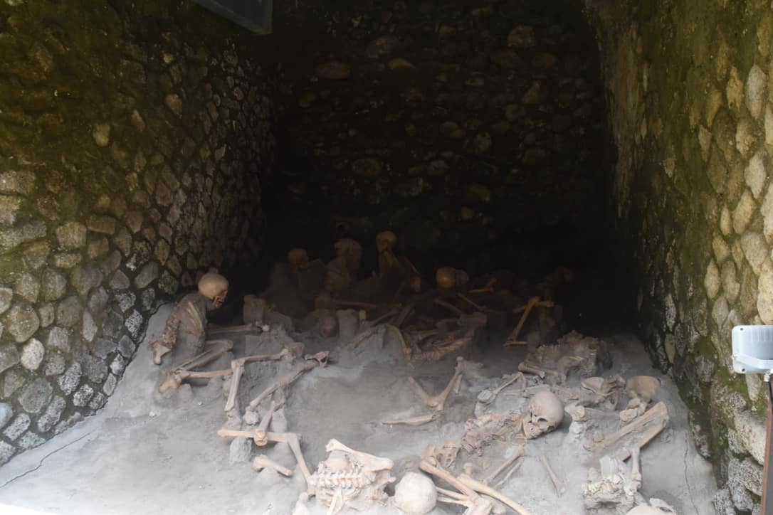 Bones found in the Herculaneum boat houses