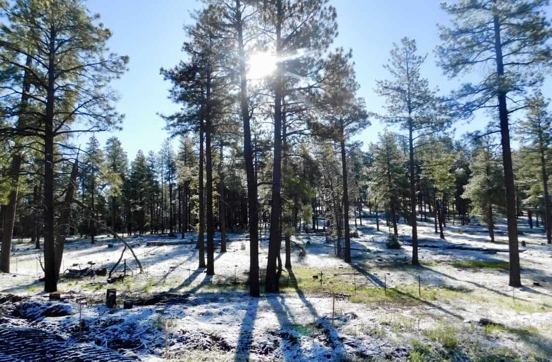 Snow on the hills at Flagstaff in May