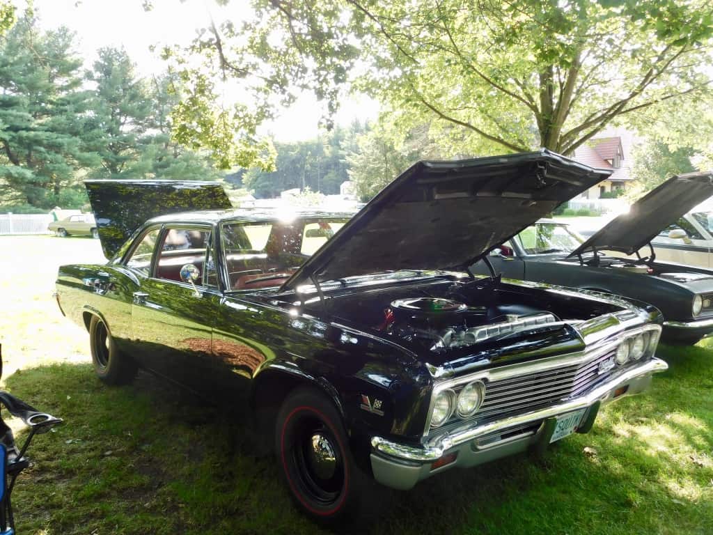Lee's 1966 Biscayne