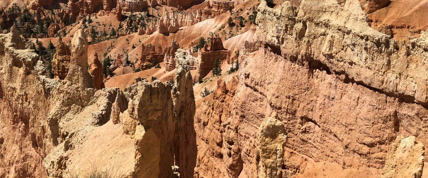 A wider sweep of the canyon