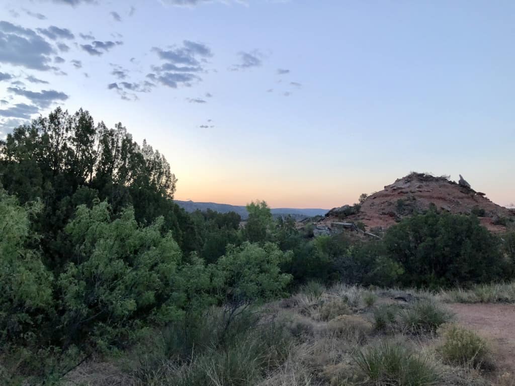 The view out the back of the RV