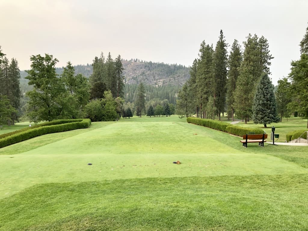 The first tee