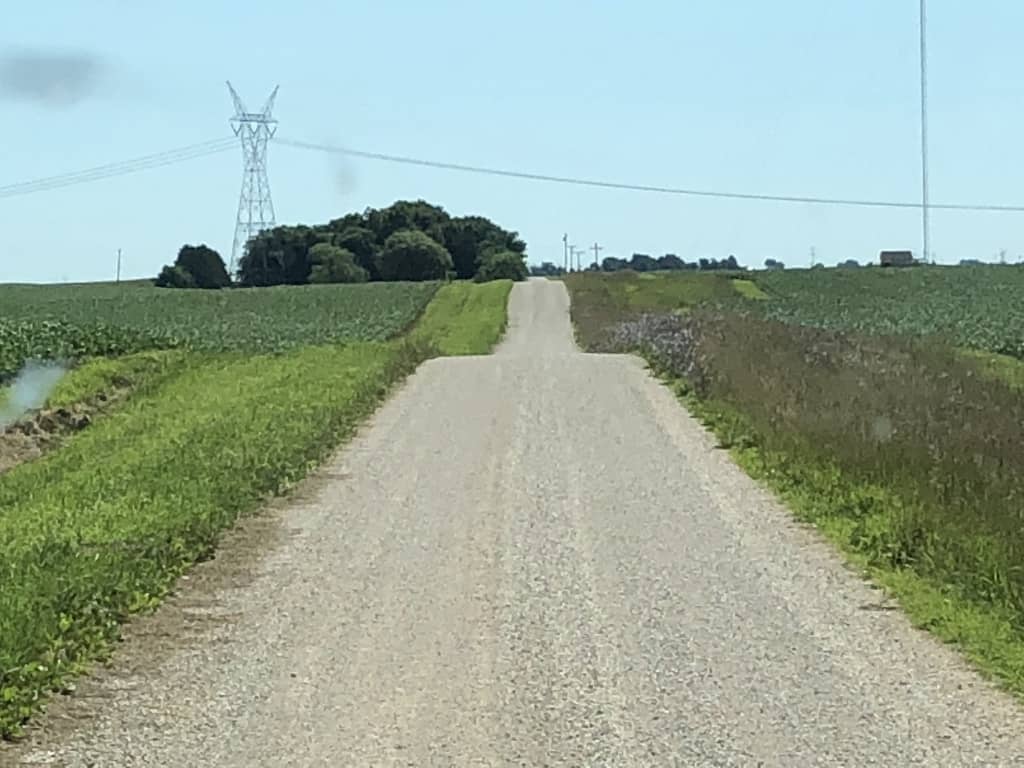 Lost among the corn